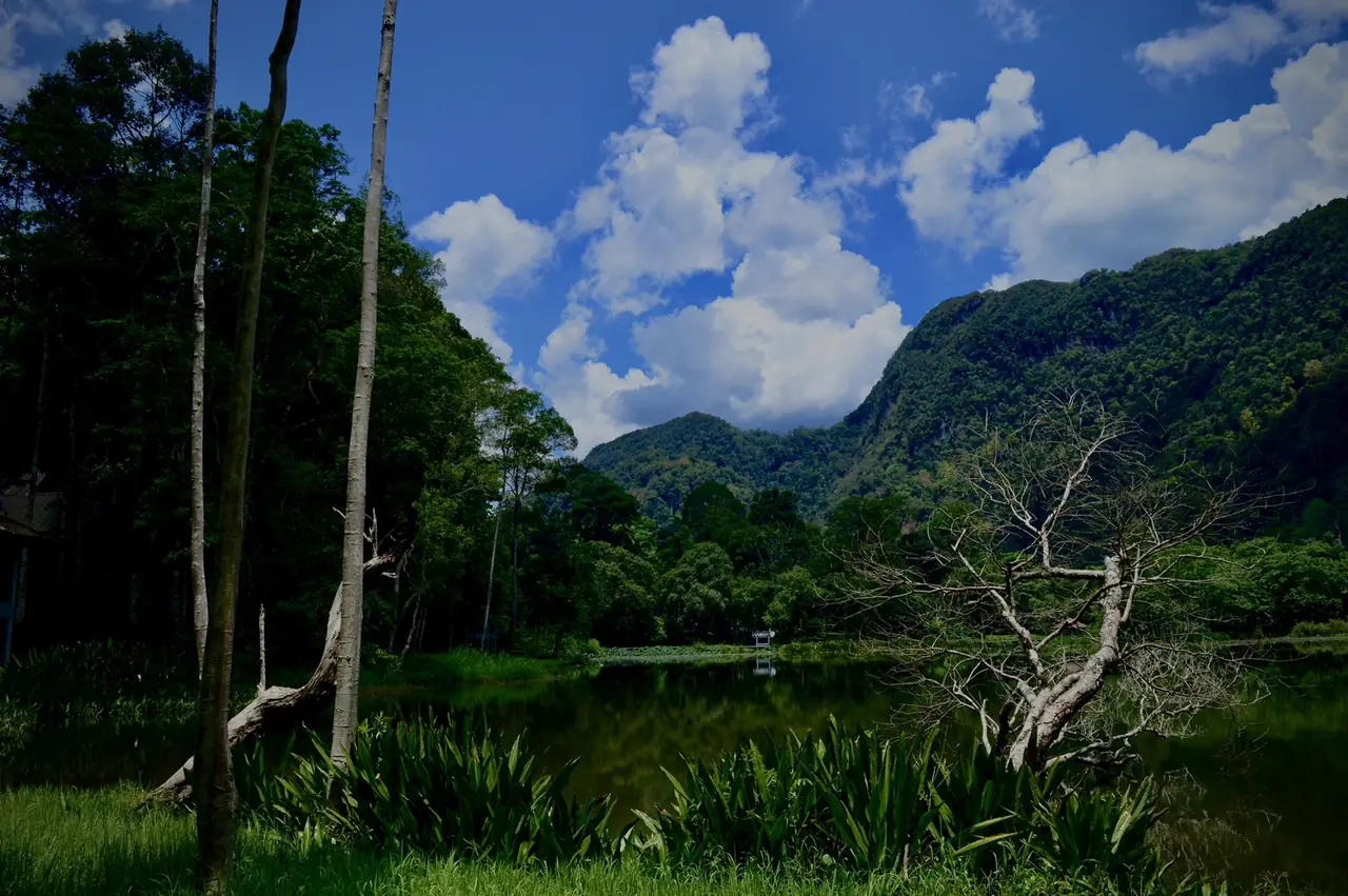 ผืนป่าทะเลบัน สตูล ภาพของ Mizan Air จาก Wikimedia Commons ใบอนุญาต CC BY-SA 4.0