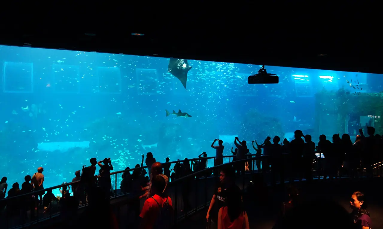 ตู้ปลาใหญ่ของ S.E.A. Aquarium เดิม ก่อนเปลี่ยนชื่อเป็น Singapore Oceanarium (ภาพช่วงเก่า)