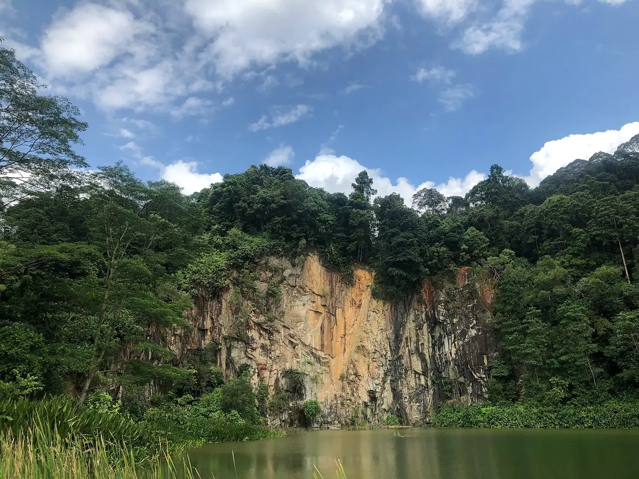 หน้าผาหินของ Singapore Quarry ที่ Dairy Farm Nature Park ภาพจาก Wikimedia Commons ผู้ถ่าย Wzhkevin สัญญา CC BY-SA 4.0