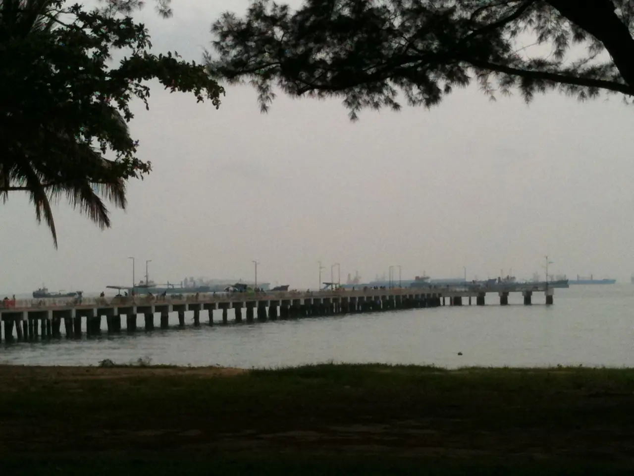 สะพานเทียบเรือ Bedok Jetty มองจาก East Coast Park ภาพจาก Wikimedia Commons ผู้ถ่าย Adhirk สัญญา CC BY-SA 3.0 ถ่ายปี 2553
