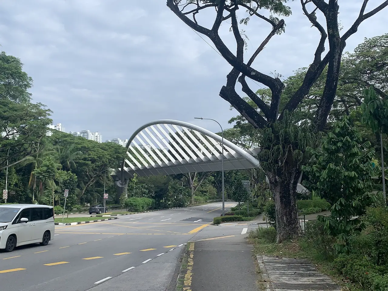 สะพาน Alexandra Arch ข้ามถนน Alexandra Road ภาพจาก Wikimedia Commons ผู้ถ่าย Chainwit. สัญญา CC BY 4.0 ถ่ายปี 2568