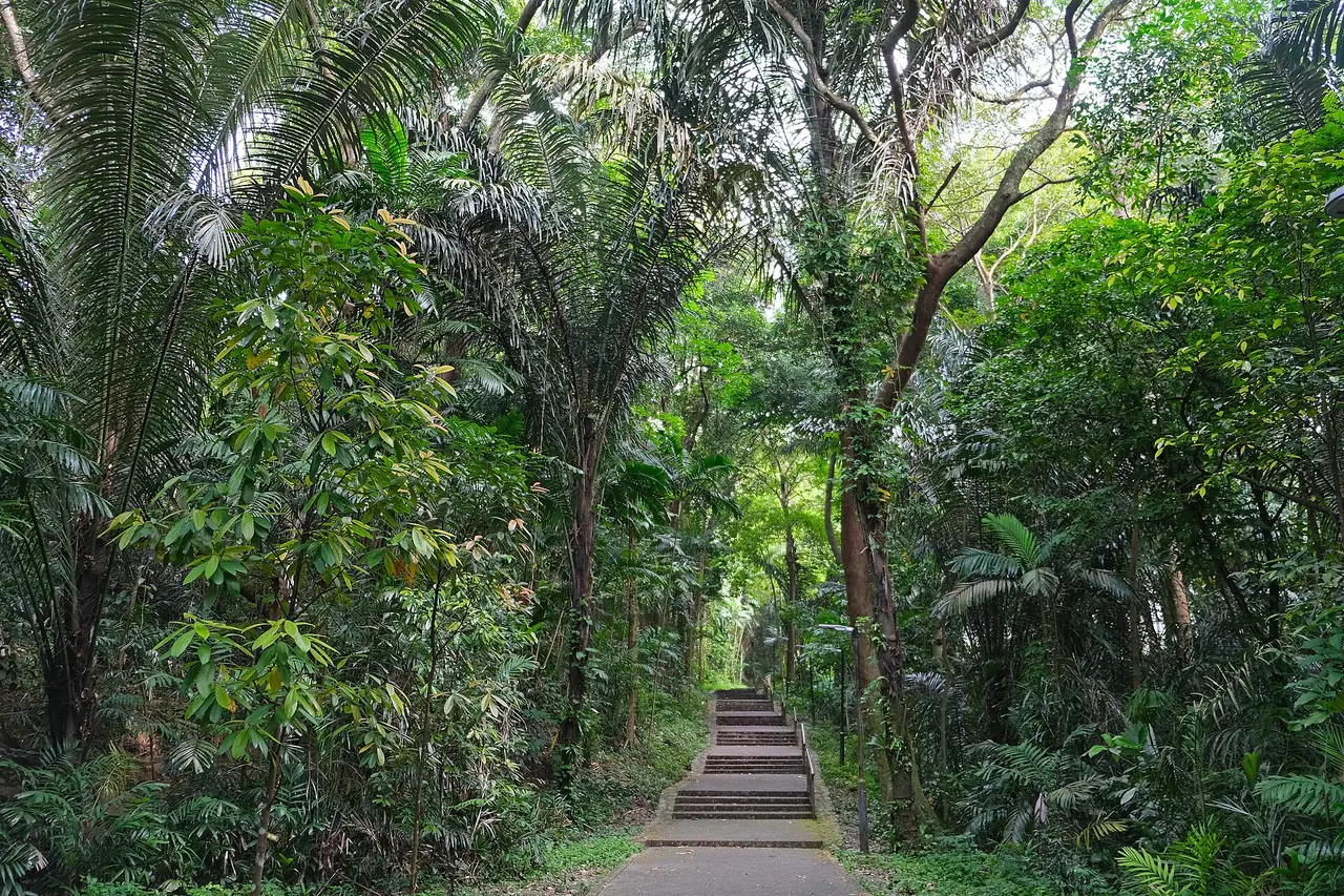 ทางขึ้น Marang Trail สู่ Mount Faber ภาพจาก Wikimedia Commons ผู้ถ่าย kallerna สัญญา CC BY-SA 4.0