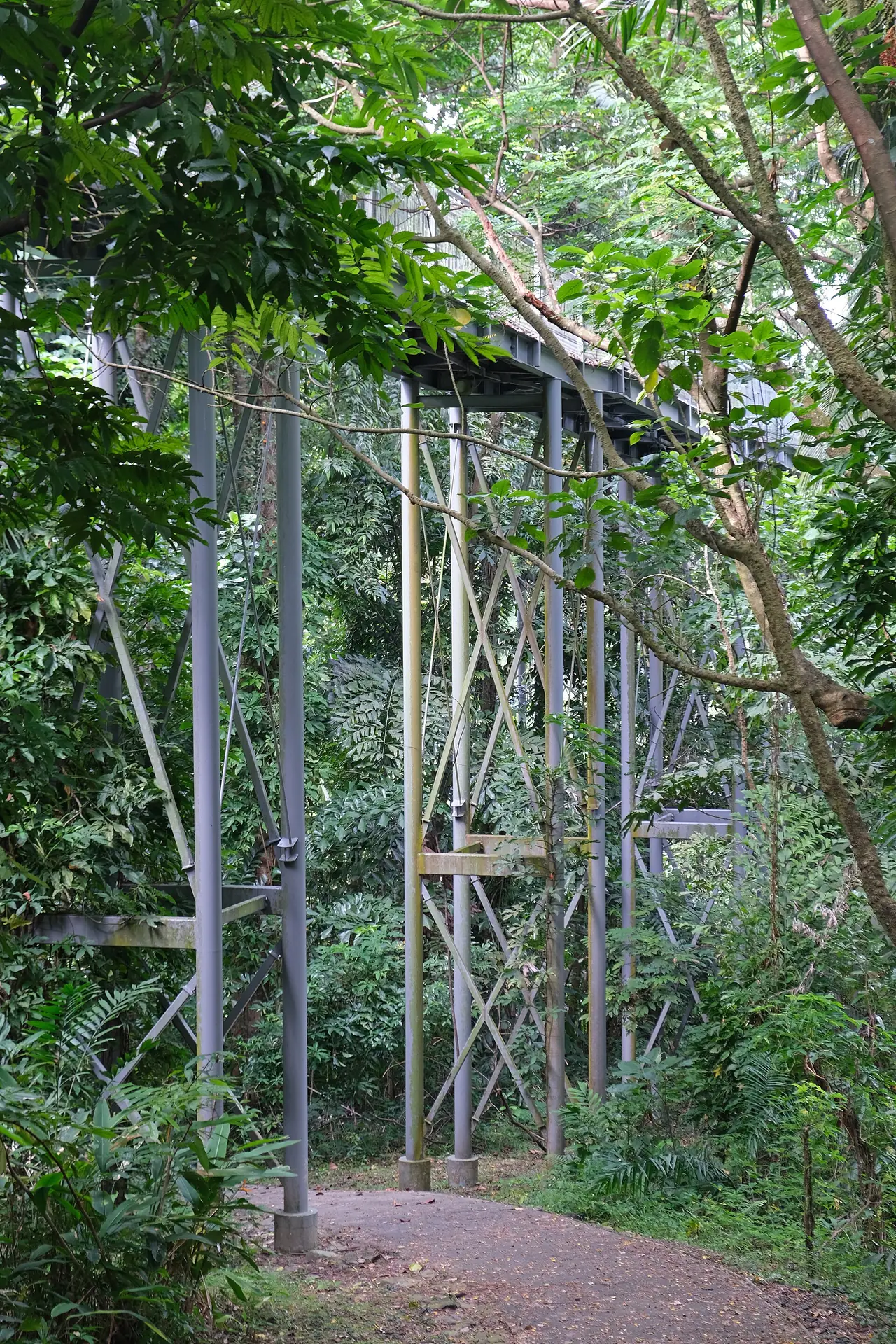 ภาพสิงคโปร์: Southern Ridges สิงคโปร์ 2569: HortPark Kent Ridge เดินฟรี