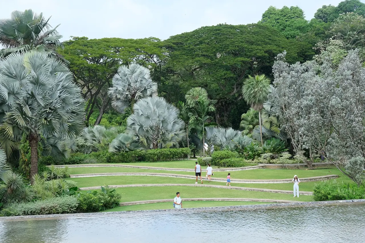 Silver Garden ใน HortPark ต้นปาล์มสีเงินและสนามหญ้าขั้นบันได ภาพจาก Wikimedia Commons ผู้ถ่าย kallerna สัญญา CC BY-SA 4.0