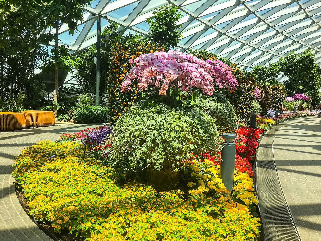 Canopy Park ชั้นบนสุดของ Jewel ตามคำบรรยายภาพต้นฉบับ