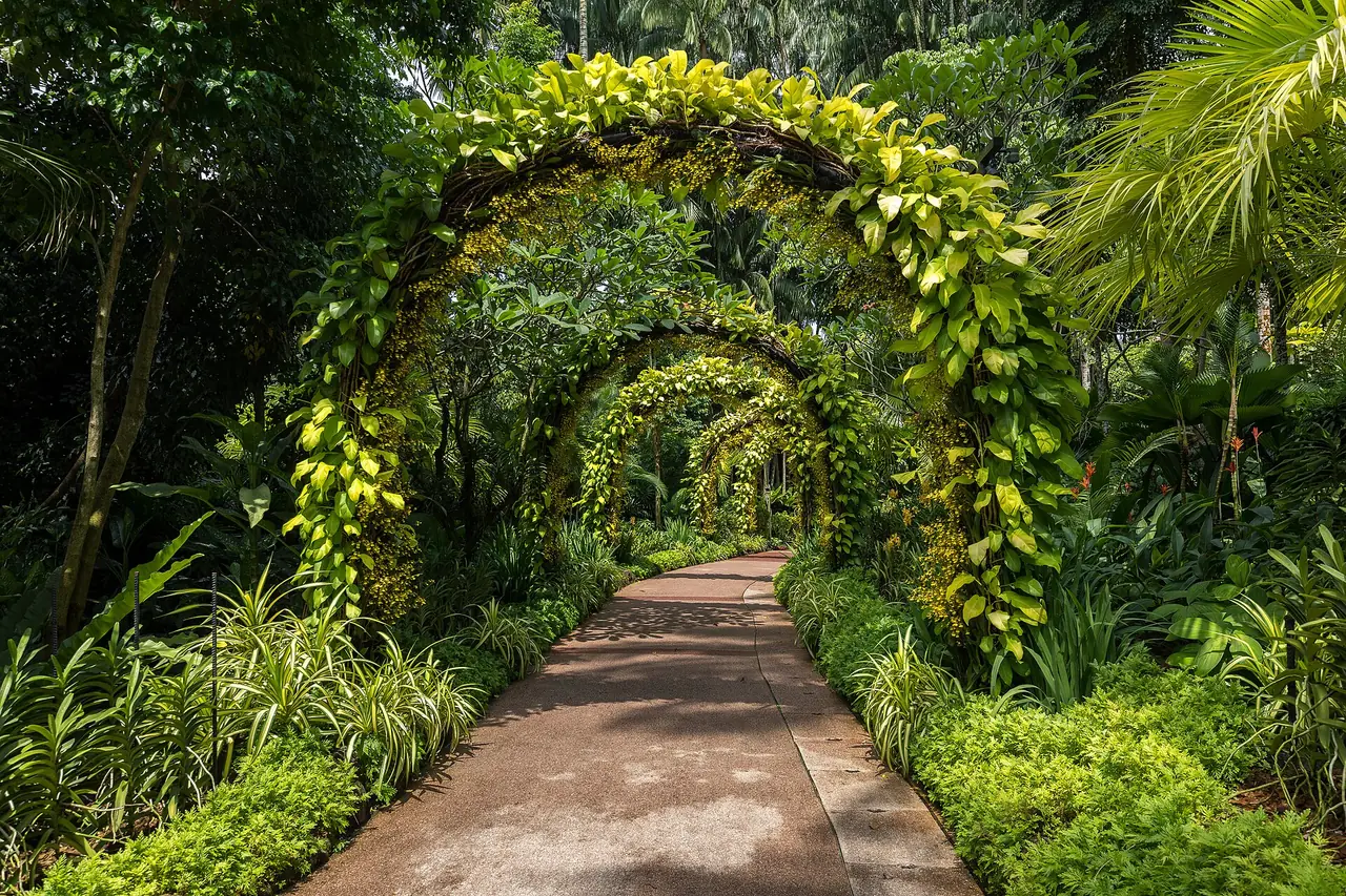 ทางเดินซุ้มไม้เลื้อยใน National Orchid Garden ตามคำบรรยายภาพต้นฉบับ