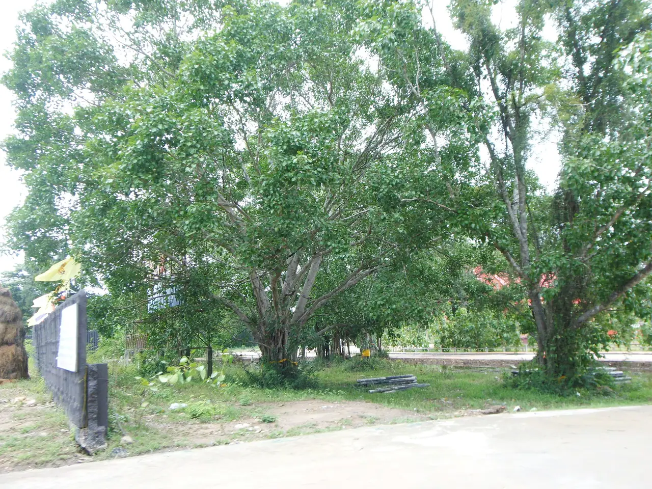 วัดโพธิ์เก้าต้น อำเภอค่ายบางระจันอีกมุม ภาพของ กสิณธร ราชโอรส จาก Wikimedia Commons ใบอนุญาต CC BY-SA 4.0