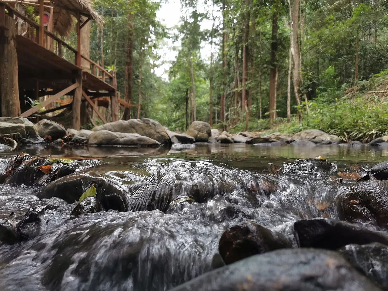 ลำธารตื้นในป่าฝน ภาพที่คอมมอนส์ระบุว่าอุทยานแห่งชาติเขาน้ำค้าง จังหวัดสงขลา ภาพประกอบ ถ่ายโดย Earng.oi ใบอนุญาต CC BY-SA 4.0 Commons