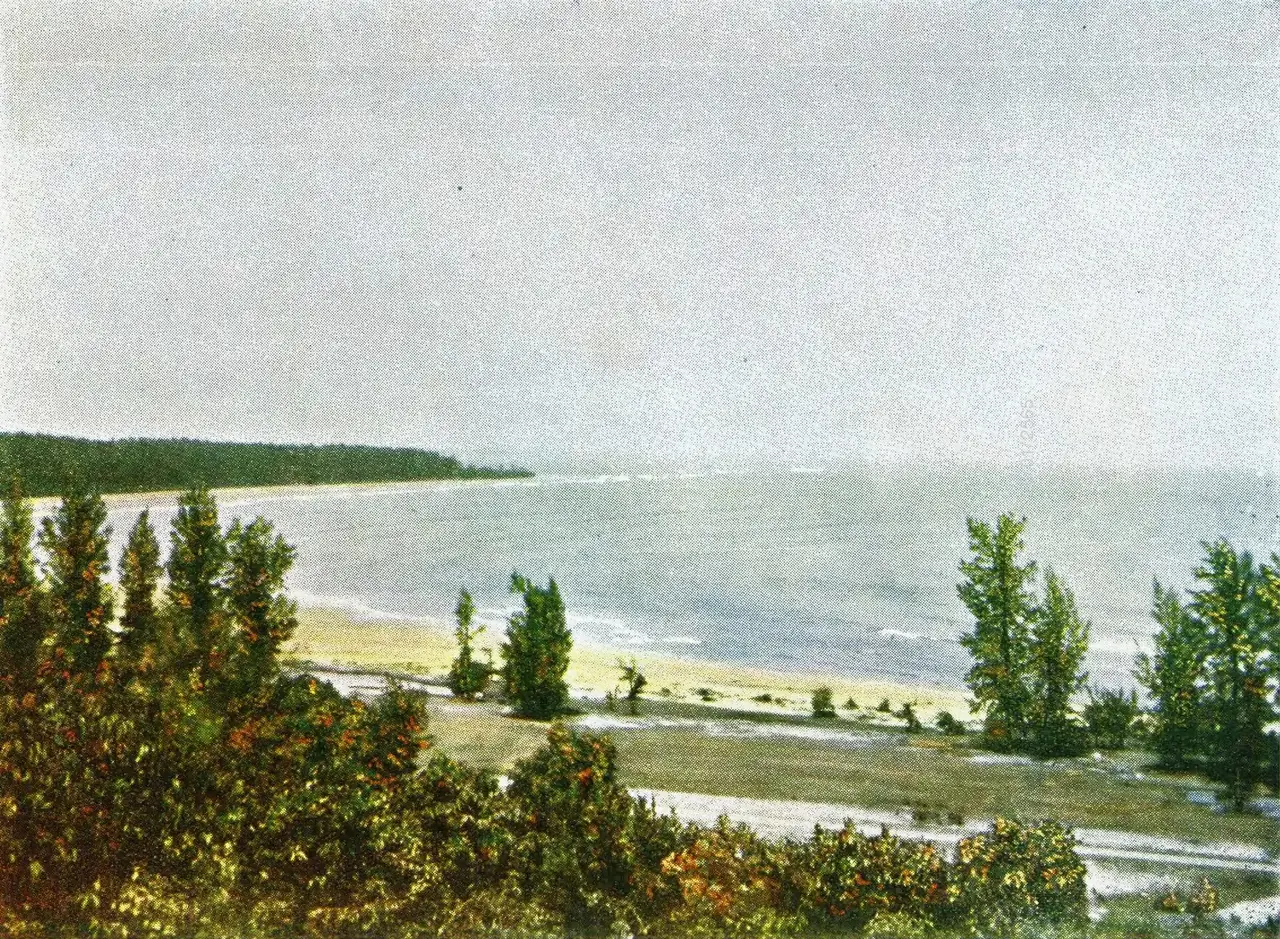 ชายหาดและแนวสนที่แหลม ภาพถ่ายสีเก่าในหนังสือ ภาพเมืองไทย ปี 2486 ระบุว่า Son Cape, Songkhla ภาพประกอบประวัติศาสตร์ โดยสำนักนายกรัฐมนตรี สาธารณสมบัติ Commons
