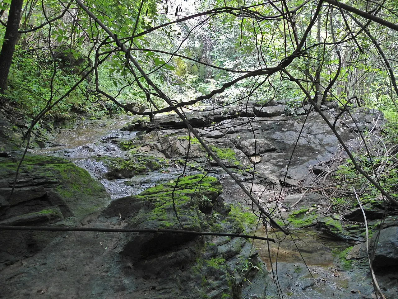 Rocks and large trees at Phu Muang waterfall in Phu Muang Forest Park