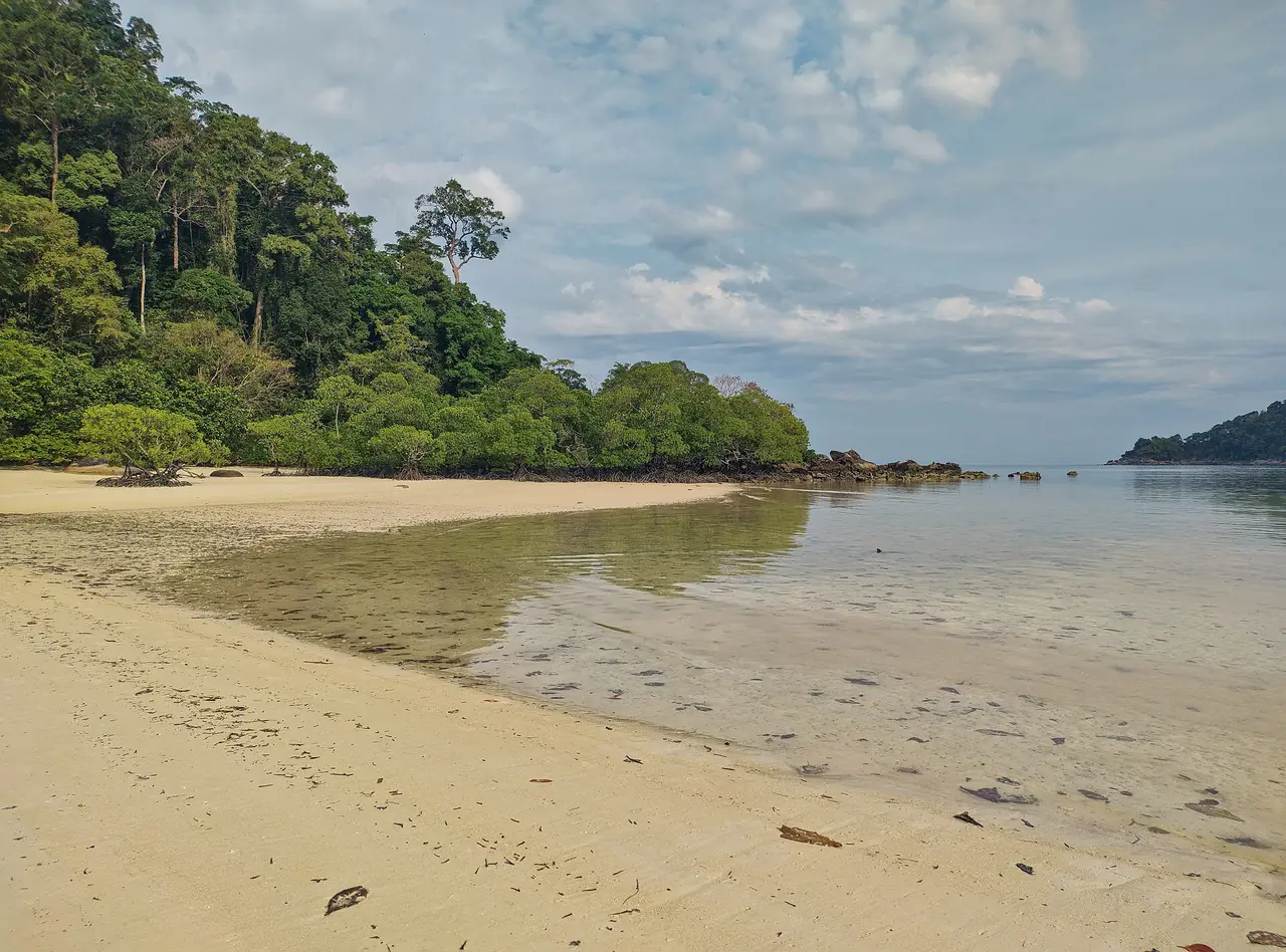หาดเงียบบนเกาะสุรินทร์เหนือ มีป่าเป็นฉากหลัง