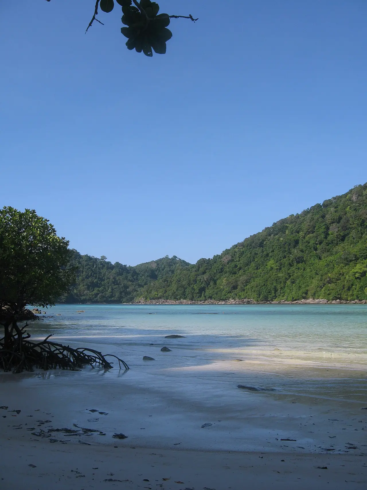 อ่าวไม้งามบนเกาะสุรินทร์เหนือ จุดที่มีลานกางเต็นท์