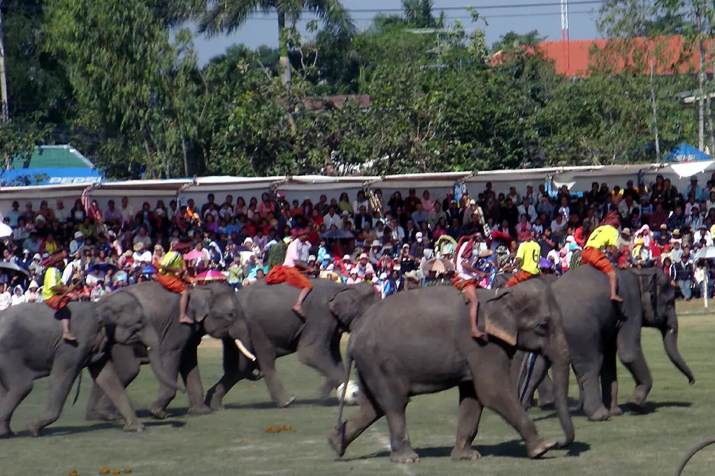 ภาพ ฟุตบอล ในงานช้างสุรินทร์ ปี 2552 ภาพของ Per Meistrup จาก Wikimedia Commons ใบอนุญาต CC BY-SA 3.0 คำบรรยายบน Commons ระบุว่าเป็น Football match