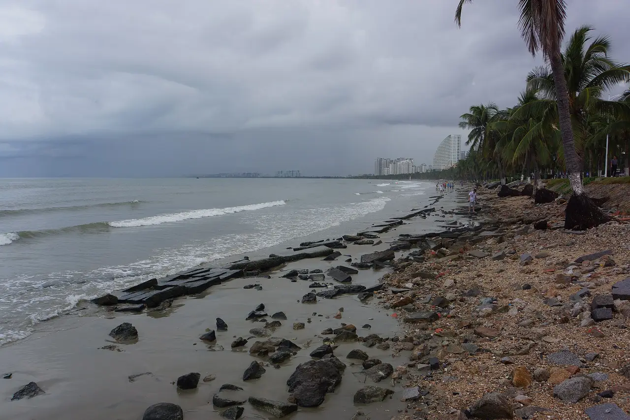 The Coconut Dream Corridor on Sanya Bay. Photo from Wikimedia Commons