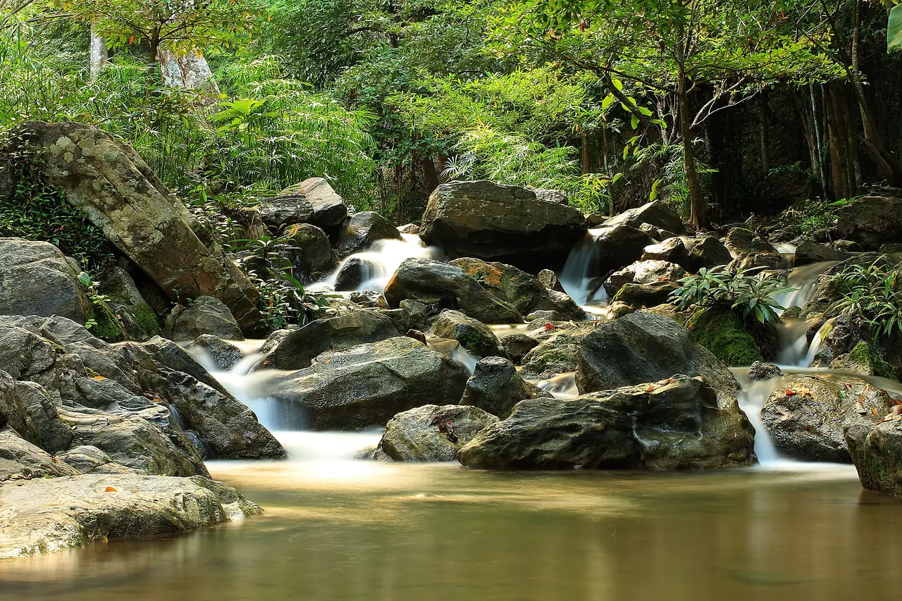 น้ำตกเล็ก ๆ ในลำธารป่าที่อุทยานแห่งชาติลานสาง
