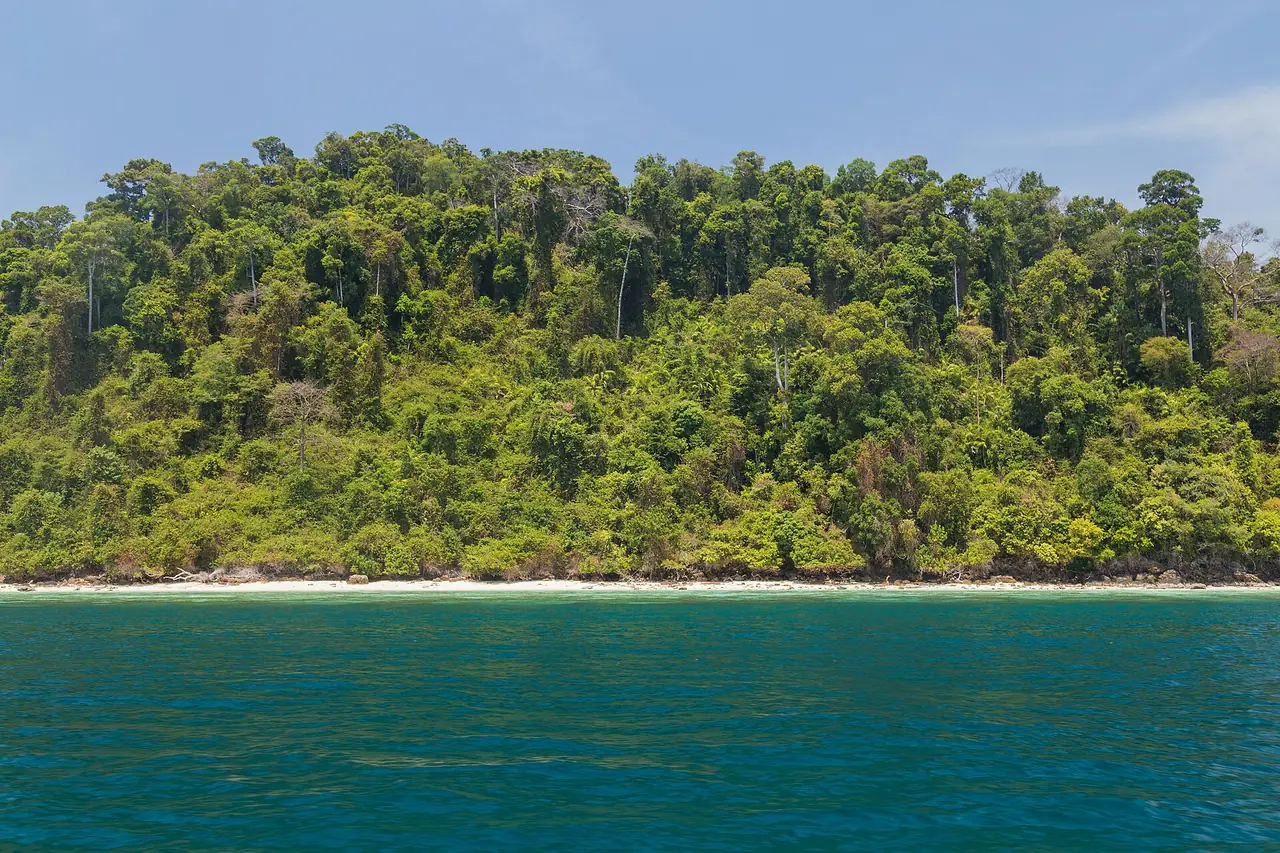 ชายฝั่งป่าเขียวของเกาะไหง (เกาะหาย) มองจากทะเล