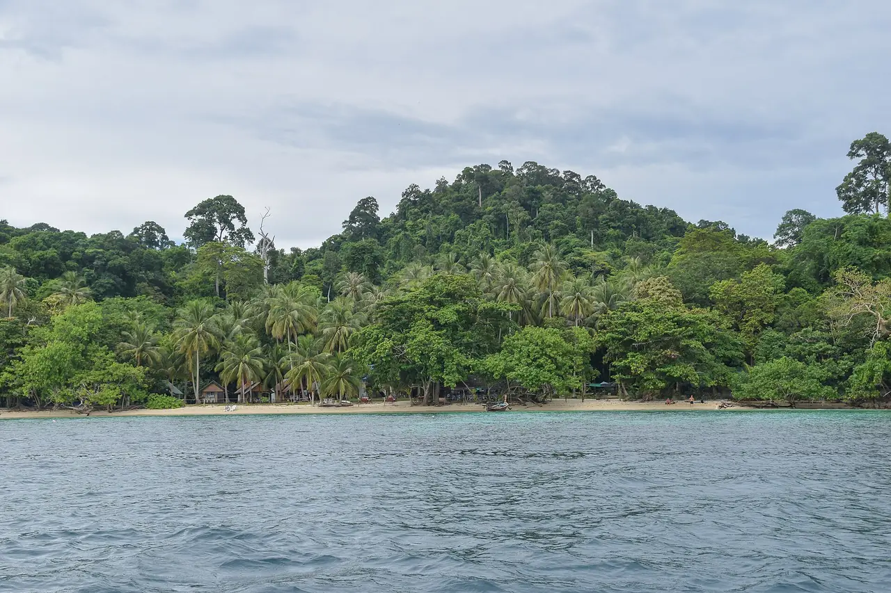 ชายป่าและหาดทรายสั้นของเกาะในกลุ่มเกาะกระดานและเกาะเชือก ภาพถ่ายจาก Wikimedia Commons