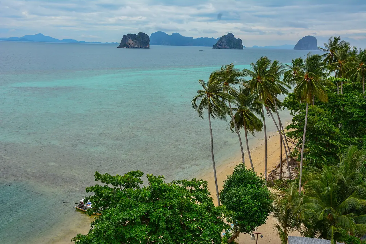 ต้นมะพร้าวริมหาดเกาะไหง มองเห็นเกาะหินปูนลูกเล็กอยู่ไกลออกไป ภาพถ่ายจาก Wikimedia Commons