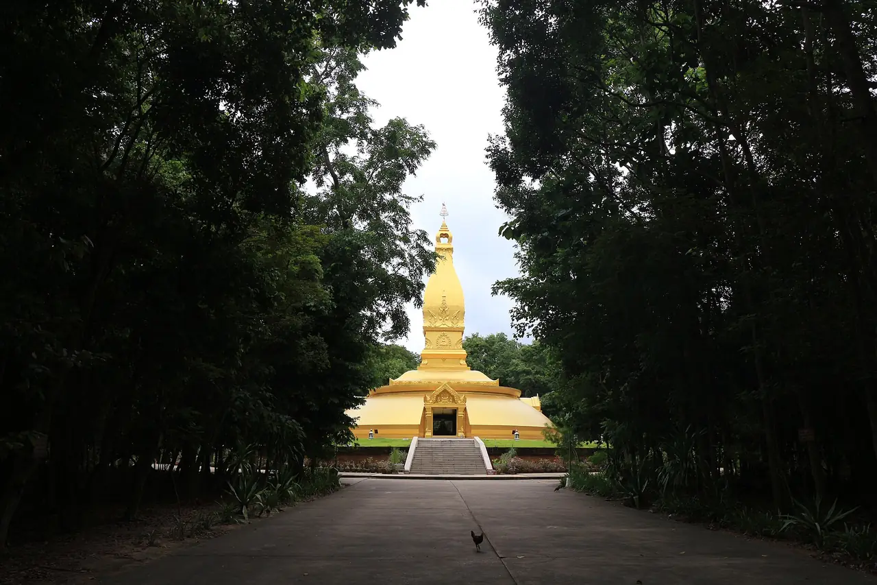 เจดีย์สีทองที่วัดหนองป่าพงมองจากทางเดินร่มรื่น