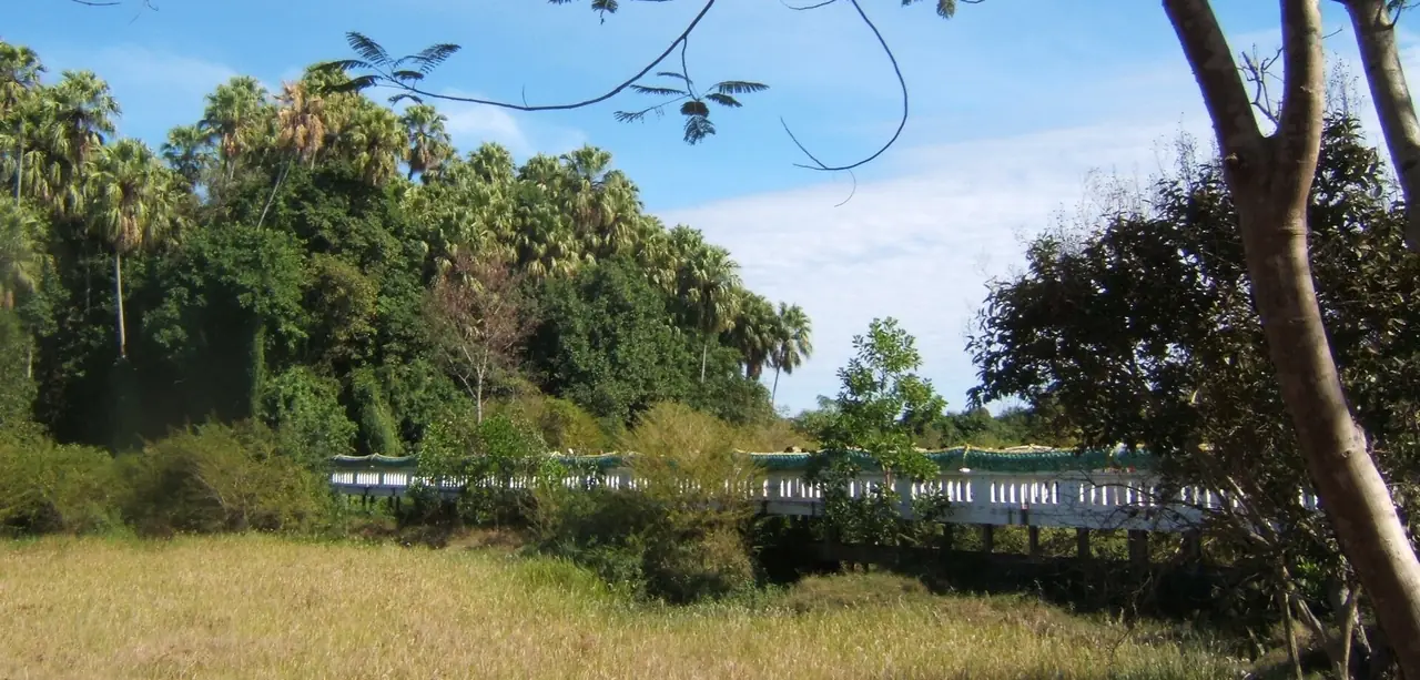 สะพานทางเข้าเกาะวัดคำชะโนด อำเภอบ้านดุง ภาพถ่ายจาก Wikimedia Commons (Media lib) ภาพช่วงหน้าแล้ง สะพานนี้ไม่ได้อยู่ที่ทะเลบัวแดง