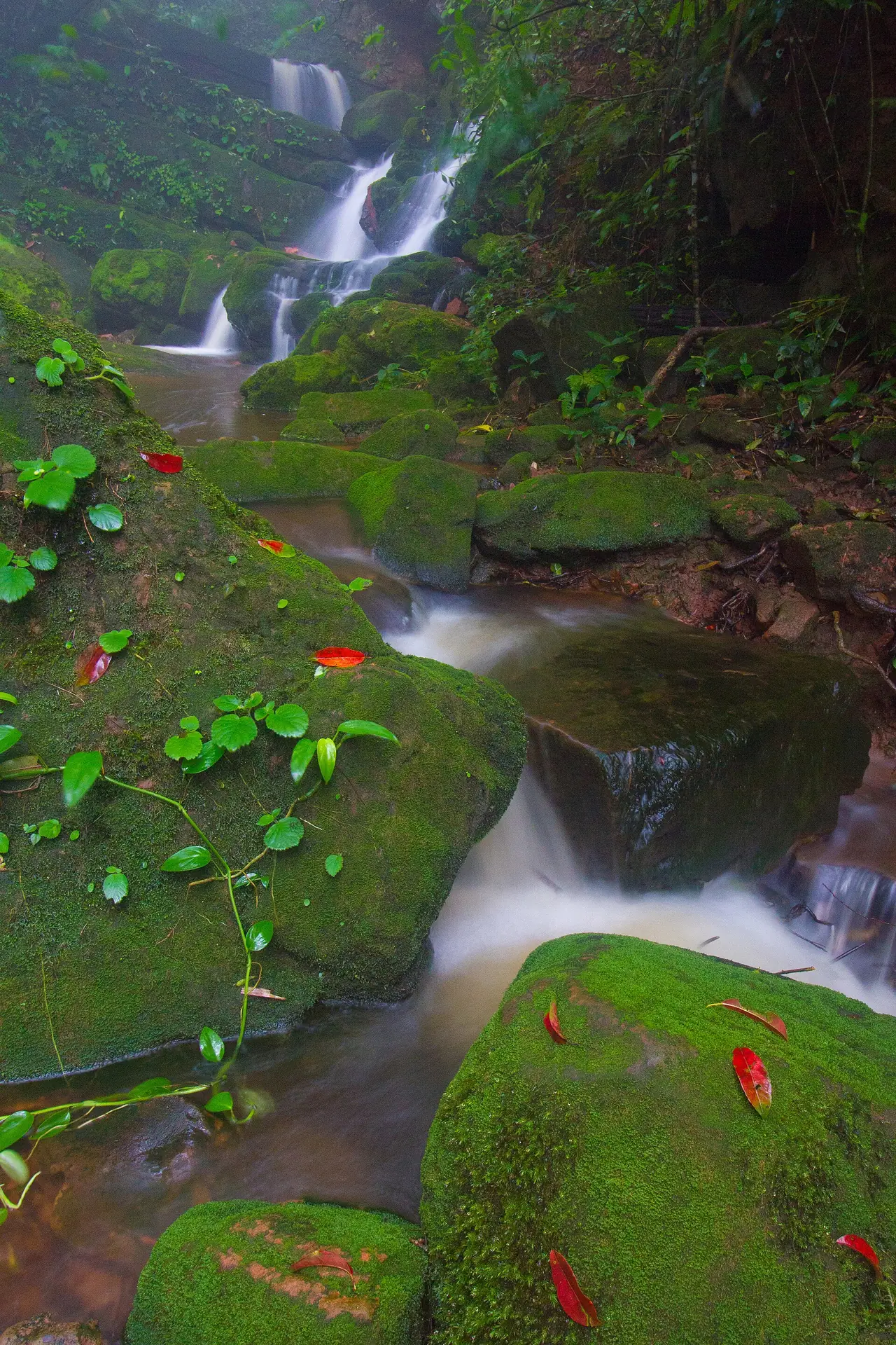 น้ำตกสายทิพย์ในอุทยานแห่งชาติภูสอยดาว