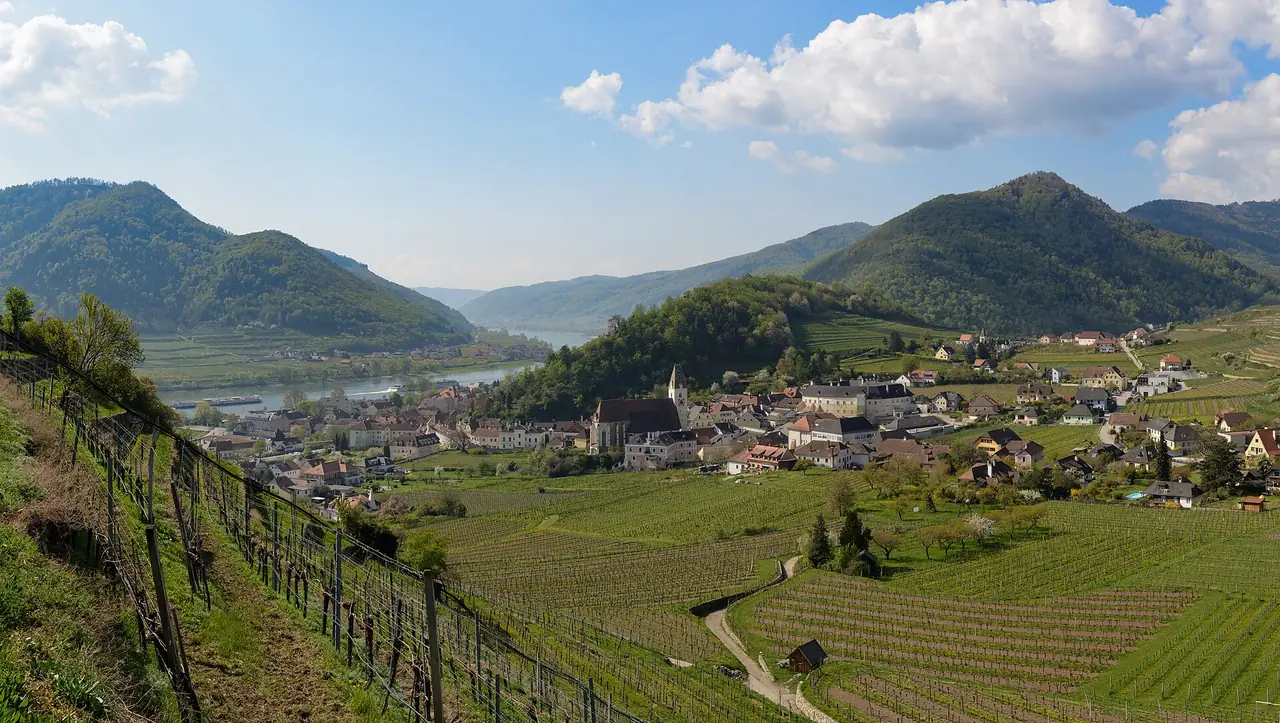 เมือง Spitz an der Donau และไร่องุ่นขั้นบันไดมองจากเนินเขา ภาพจาก Wikimedia Commons ผู้ถ่าย Uoaei1 สัญญา CC BY-SA 4.0 (ถ่ายเมษายน 2569)