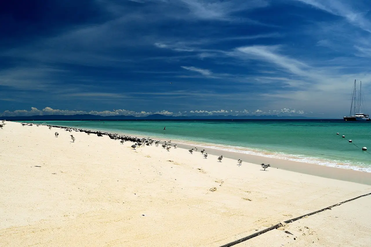 ชายหาดทรายของ Michaelmas Cay มีนกทะเลอยู่ริมน้ำ ภาพจาก Wikimedia Commons ผู้ถ่าย Jake Healy สัญญา CC BY-SA 4.0 ไม่ใช่การยืนยันว่าทัวร์ที่อ้างในหน้านี้แวะที่นี่