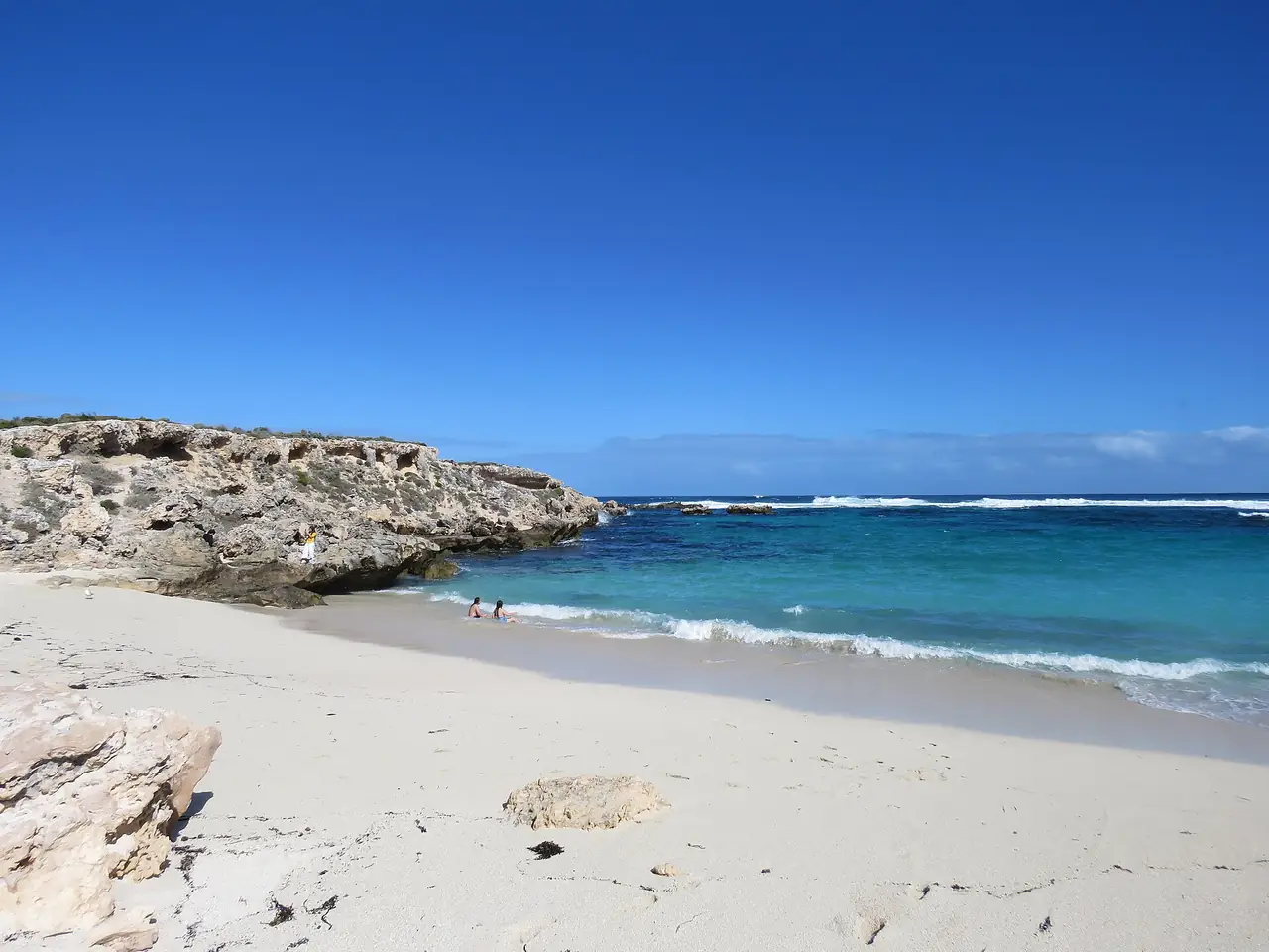 ภาพออสเตรเลีย: เที่ยวเพิร์ธและเกาะ Rottnest 2569: ควอกก้า เรือ ค่าเข้าเกาะ