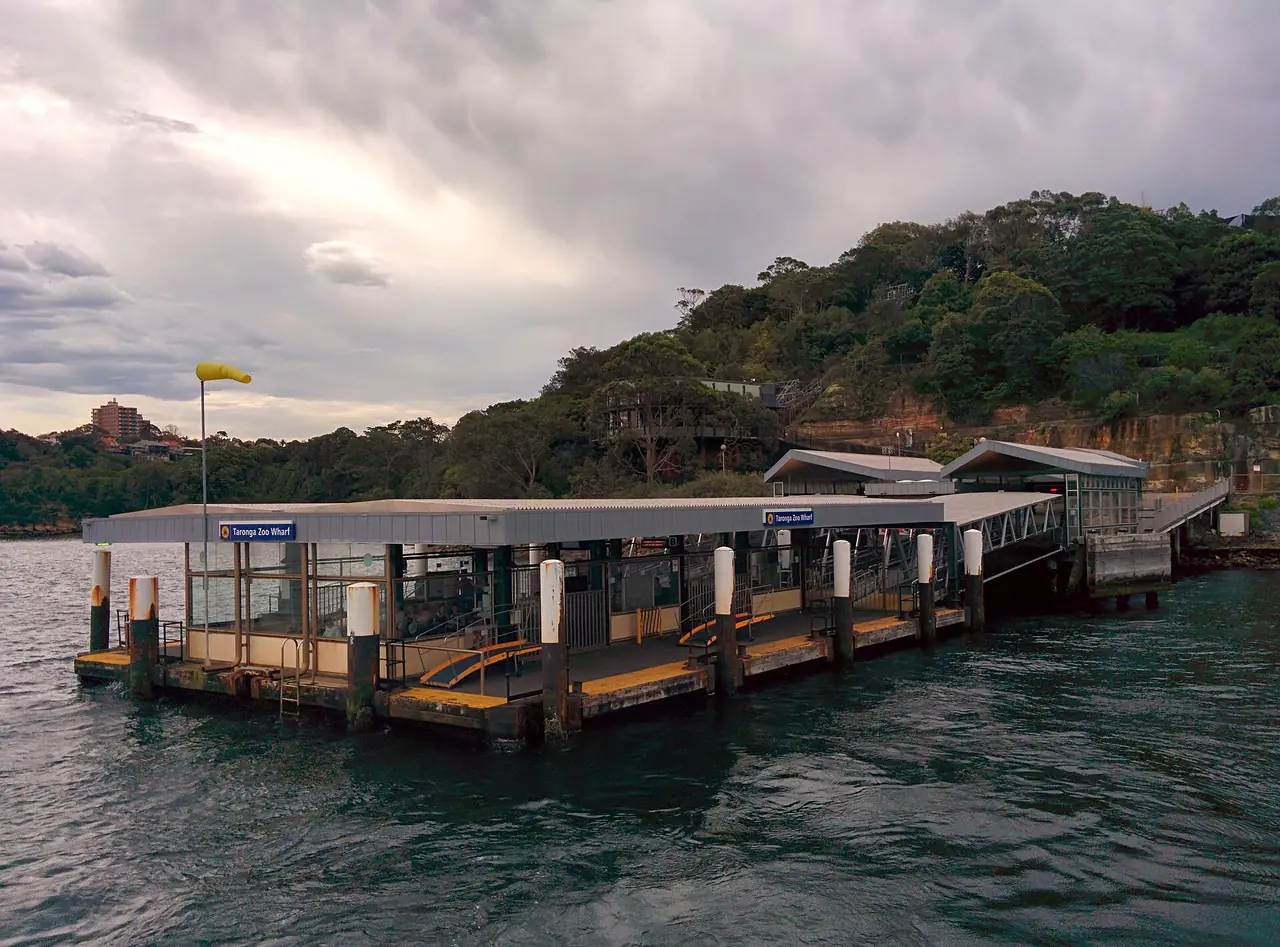ท่าเรือเฟอร์รี Taronga Zoo มองจากเรือที่กำลังออกจากท่า ภาพจาก Wikimedia Commons ผู้ถ่าย Grendelkhan สัญญา CC BY-SA 4.0