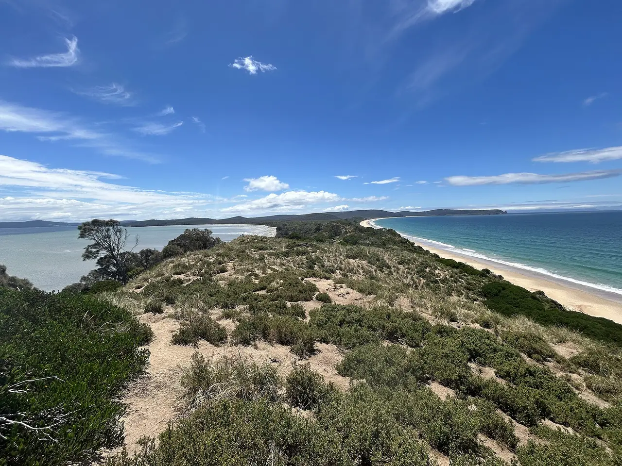 ชายหาดและแหลมแคบที่มองจาก The Neck lookout บนเกาะ Bruny ภาพจาก Wikimedia Commons ผู้ถ่าย Chuq สัญญา CC BY-SA 4.0