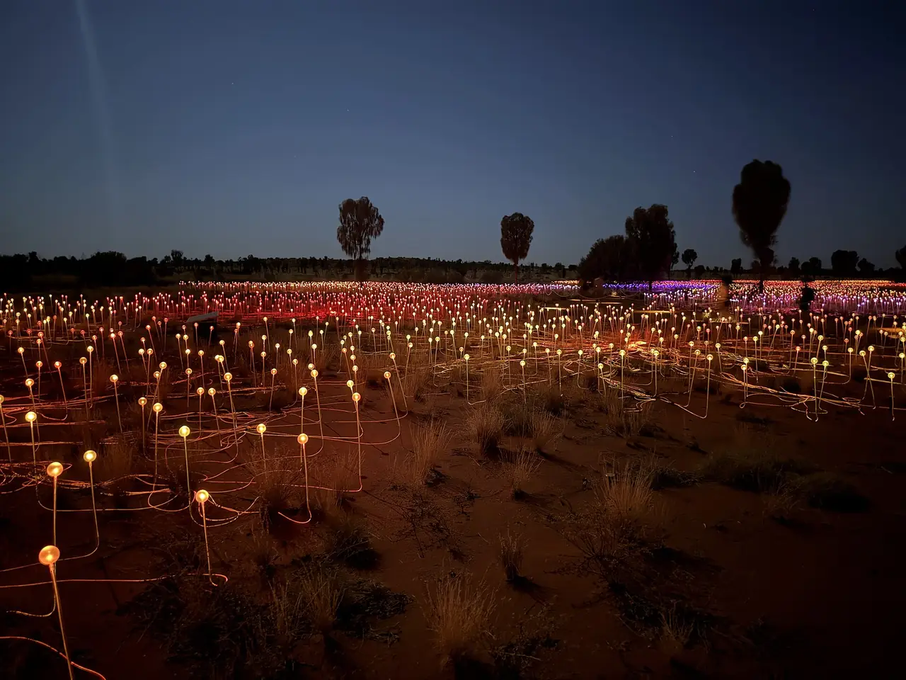 ทุ่งไฟประดับ Field of Light Uluru ผลงานของศิลปินอังกฤษ Bruce Munro ในยามค่ำ ภาพจาก Wikimedia Commons ผู้ถ่าย DaHuzyBru สัญญา CC BY-SA 4.0 ถ่าย ต.ค. 2568