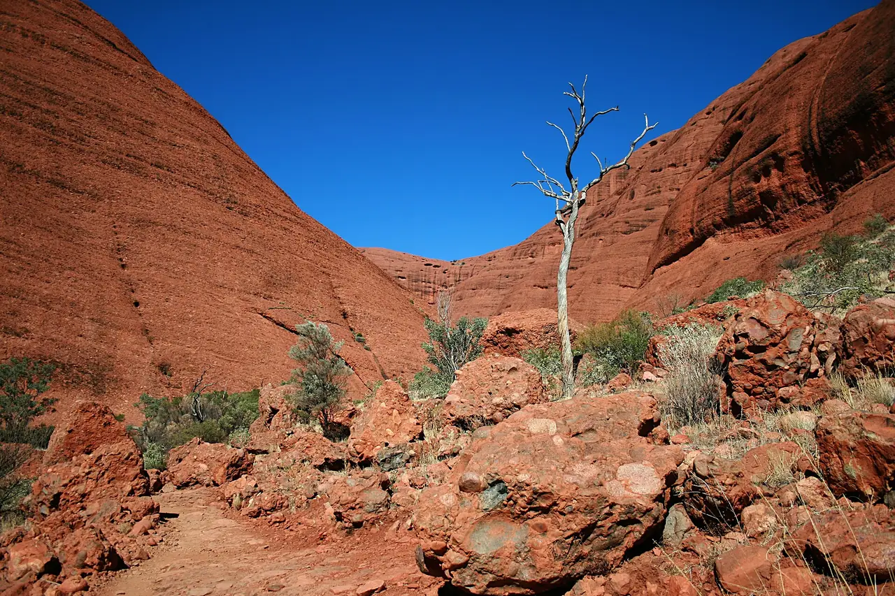 หุบเขา Valley of the Winds ที่ Kata Tjuṯa ภาพจาก Wikimedia Commons ผู้ถ่าย Toby Hudson สัญญา CC BY-SA 3.0 ไม่ระบุปี