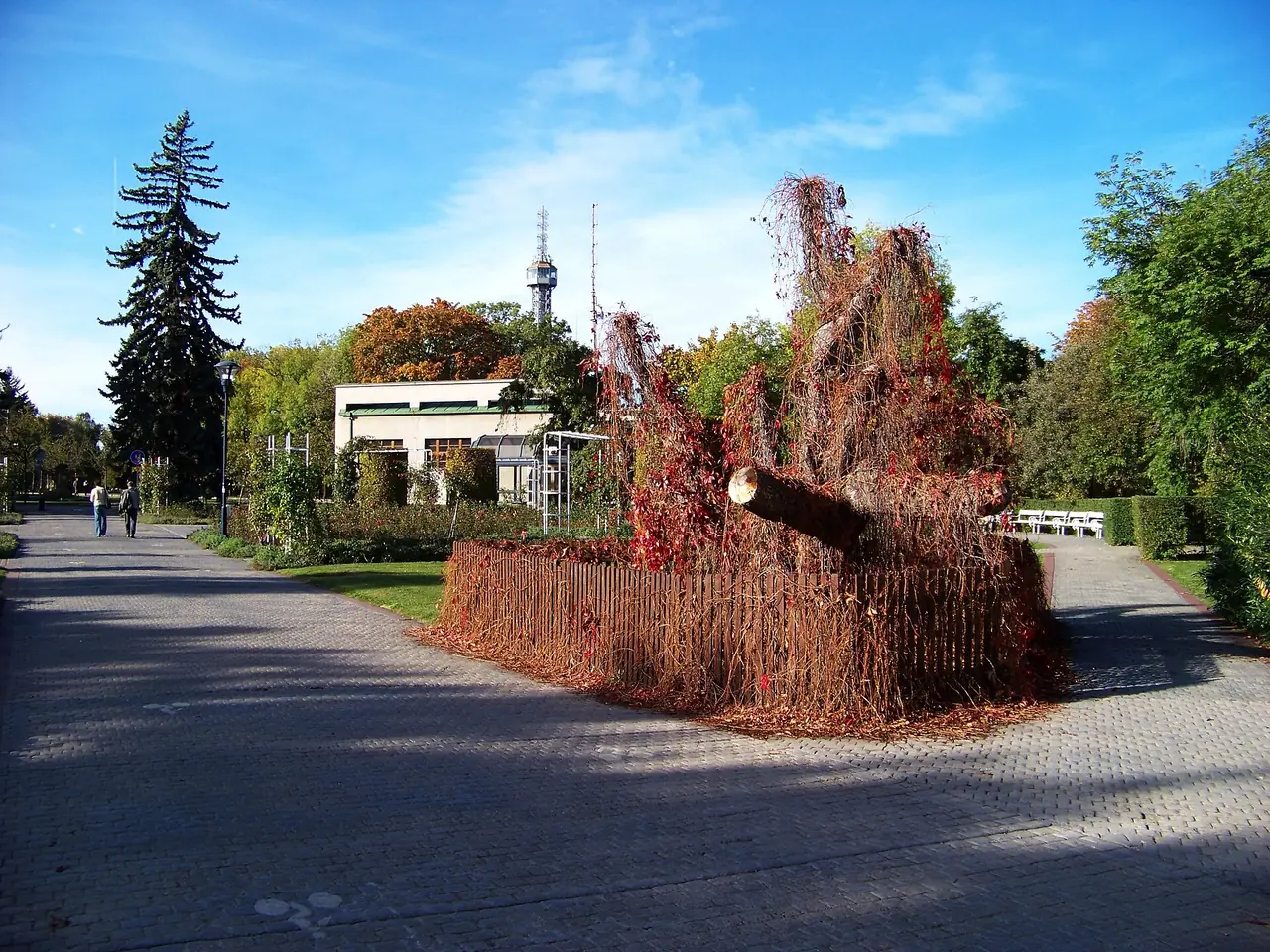 สวนกุหลาบ (Růžový sad) บนเนินเปตริน มีหอเปตรินมองเห็นไกลๆ ภาพจาก Wikimedia Commons ผู้ถ่ายใช้ชื่อ ŠJů สัญญา CC BY-SA 3.0 ภาพนี้ไม่ได้แสดงสถานีกระเช้าชัดเจน