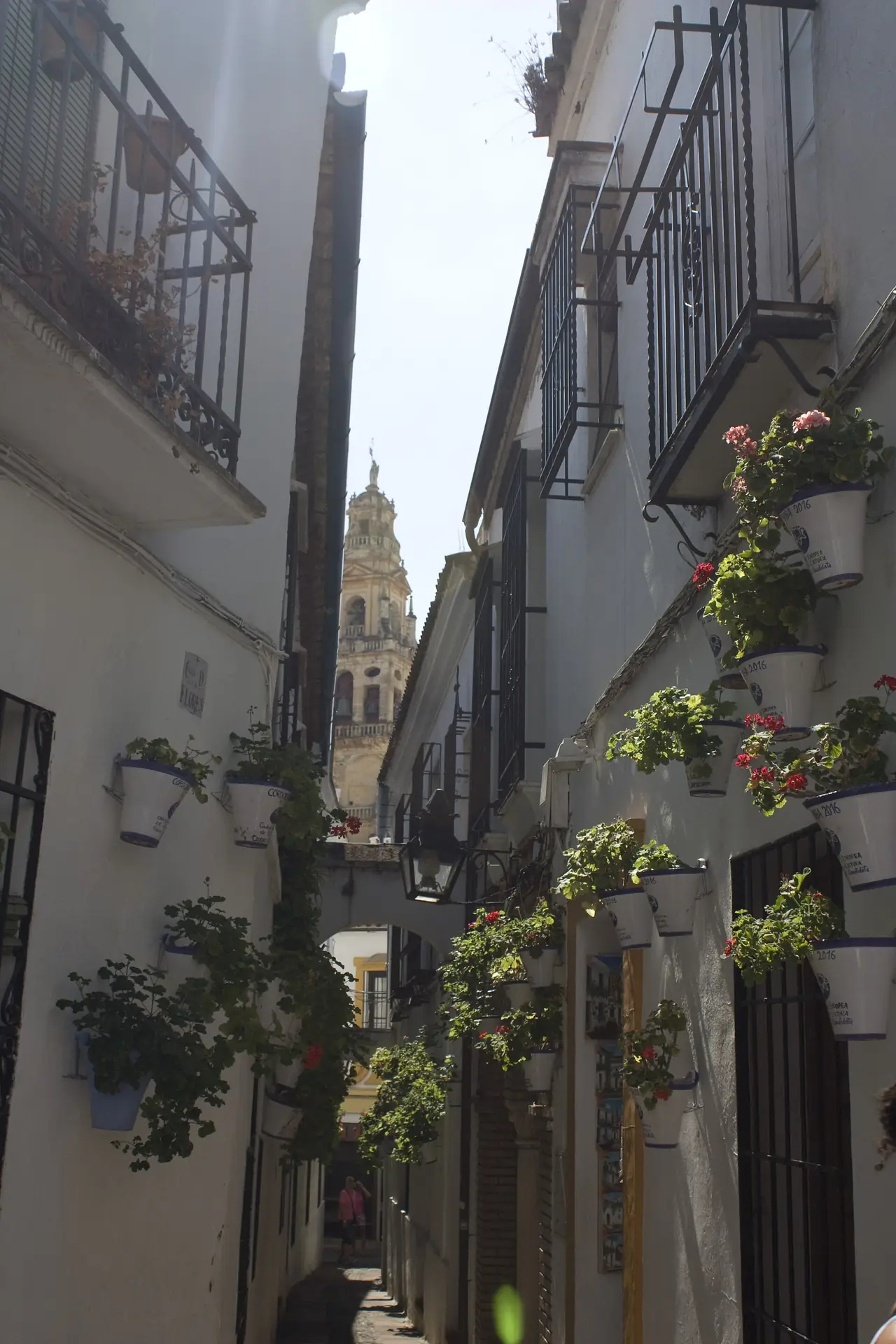 ซอย Calleja de las Flores ในย่านเมืองเก่ากอร์โดบา มีกระถางดอกไม้ติดผนัง และเห็นหอระฆังไกล ๆ ภาพถ่ายจาก Wikimedia Commons ผู้ถ่าย Daniel Villafruela สัญญา CC BY-SA 3.0 ภาพปี 2554
