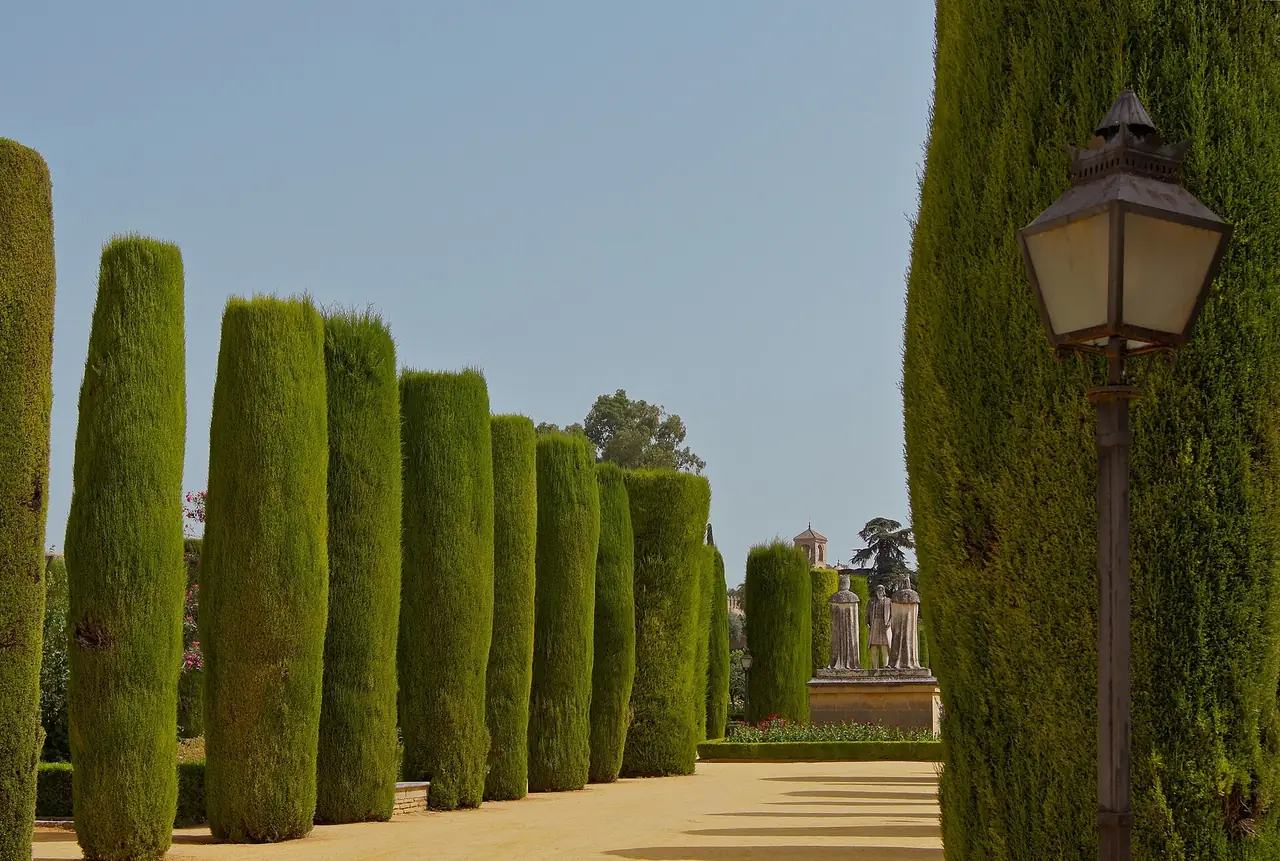 สวนของ Alcázar de los Reyes Cristianos ในกอร์โดบา มีต้นไซเปรสและรูปปั้นอยู่ไกล ๆ ภาพถ่ายจาก Wikimedia Commons ผู้ถ่าย Jebulon สัญญา CC0 ไฟล์คอมมอนส์ตั้งชื่อตามรูปปั้นโคลัมบัส