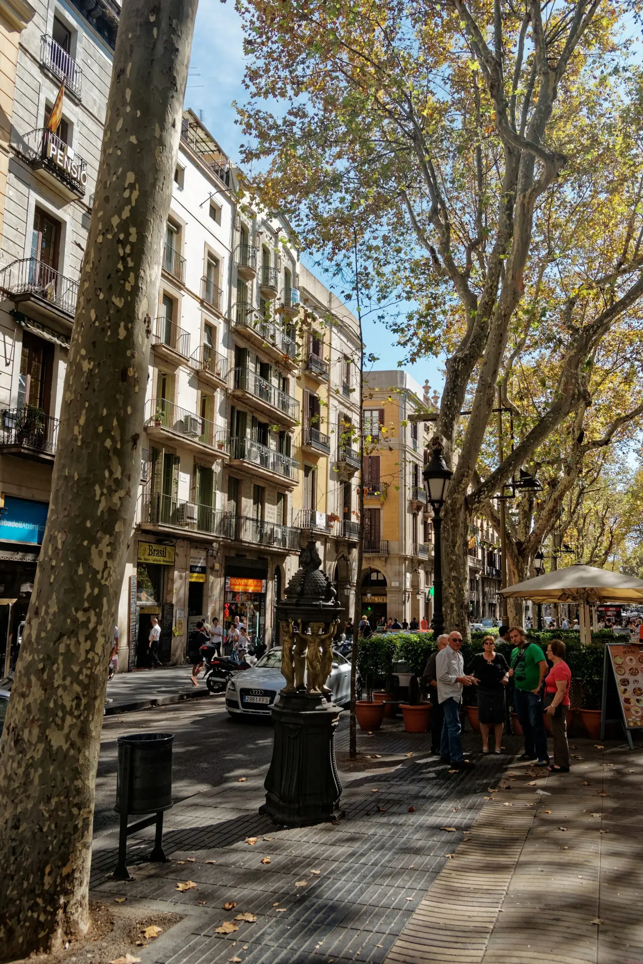 ถนน La Rambla ช่วง Rambla dels Caputxins ต้นไม้สองข้างทางและน้ำพุเล็ก ภาพถ่ายจาก Wikimedia Commons ผู้ถ่าย Txllxt TxllxT สัญญา CC BY-SA 4.0