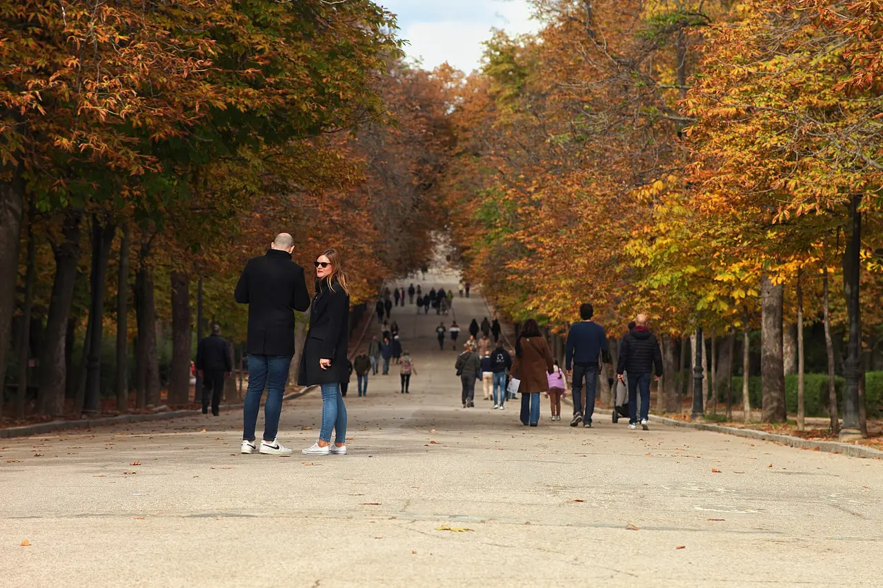 ทางเดินในสวน Retiro ใบไม้เปลี่ยนสีฤดูใบไม้ร่วง มาดริด ภาพถ่ายจาก Wikimedia Commons ผู้ถ่าย Javier Perez Montes สัญญา CC BY-SA 4.0