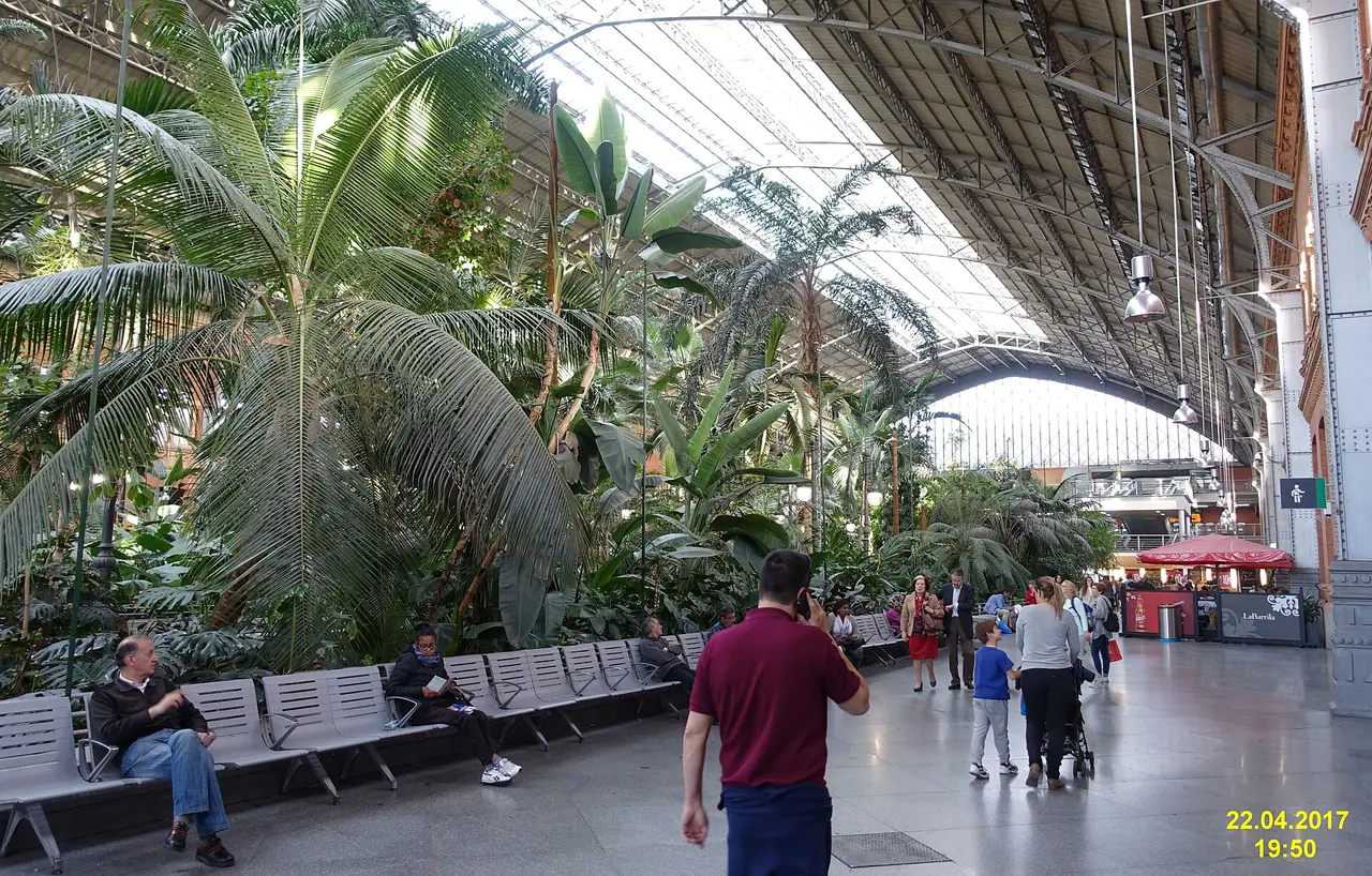 สวนเขตร้อนในสถานี Madrid Atocha ภาพถ่ายจาก Wikimedia Commons ผู้ถ่าย David Short สัญญา CC BY 2.0 ภาพวันที่ 22 เม.ย. 2560