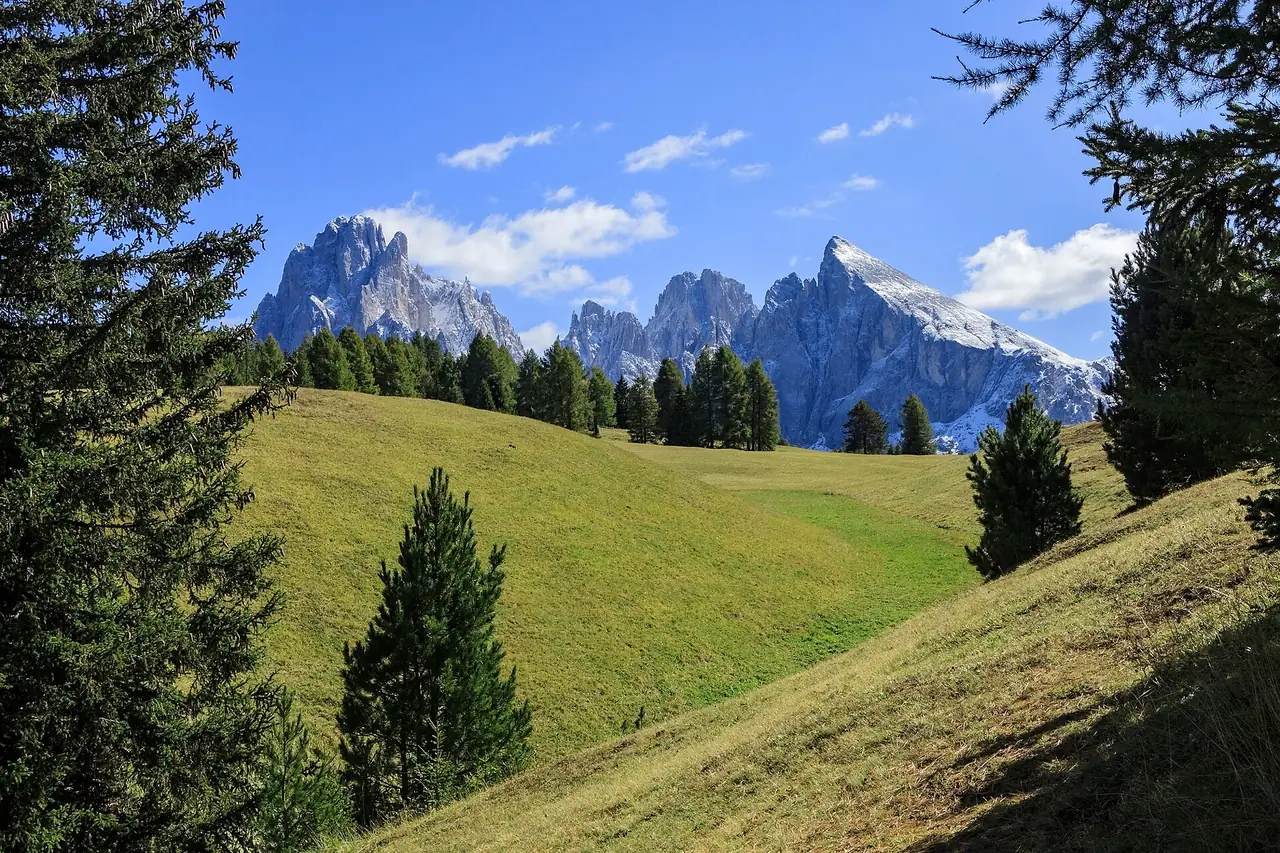 ทุ่งหญ้า Alpe di Siusi และเทือกเขา Langkofel ภาพจาก Wikimedia Commons ผู้ถ่าย H. Zell สัญญา CC BY-SA 3.0