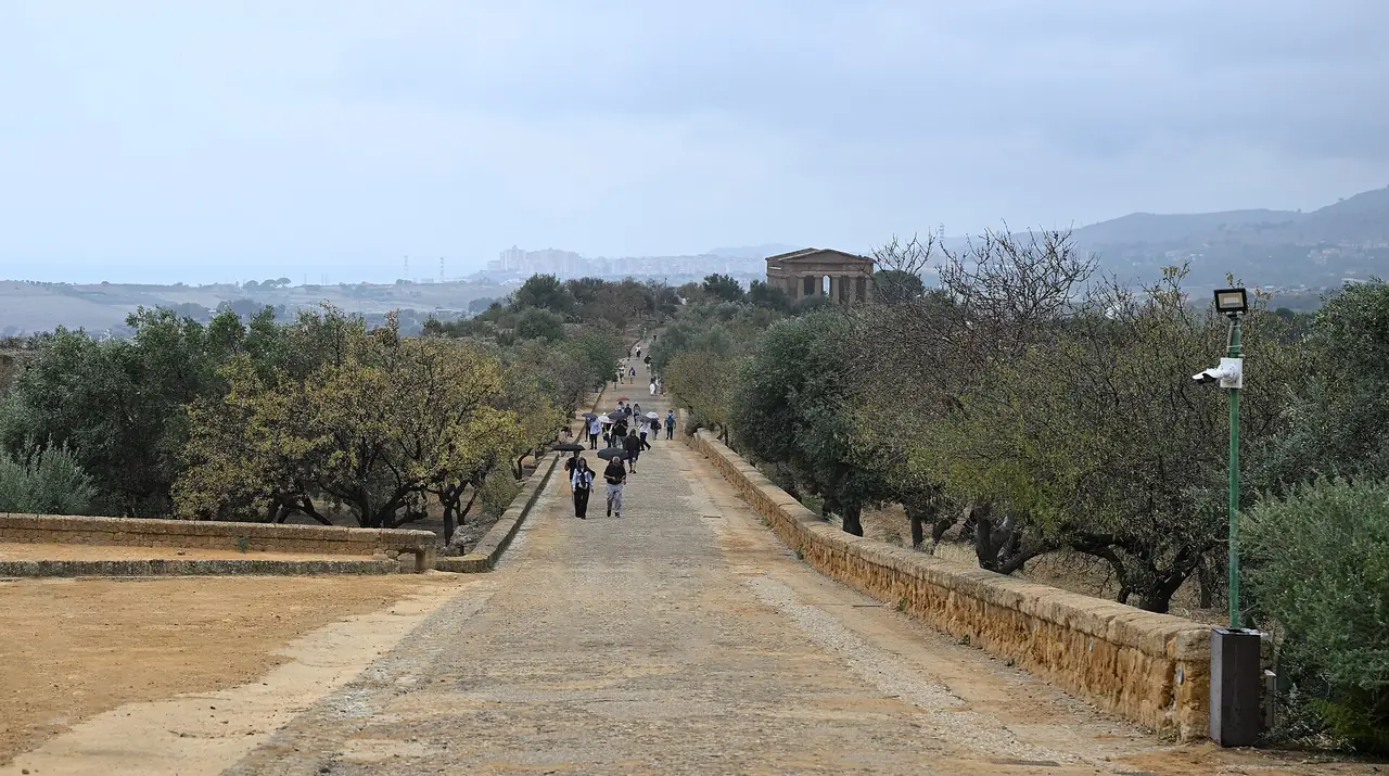 ทางเดินสู่วิหาร Concordia ใน Valle dei Templi ภาพจาก Wikimedia Commons ผู้ถ่าย Cayambe สัญญา CC BY-SA 4.0 ถ่ายวันฟ้าครึ้ม