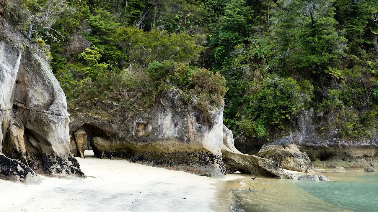 อ่าว Anchorage ใน Abel Tasman มีหน้าผาหินและป่าริมหาดทราย ภาพจาก Wikimedia Commons ผู้ถ่าย Christoph Strässler สัญญา CC BY-SA 2.0 ไม่ระบุปี
