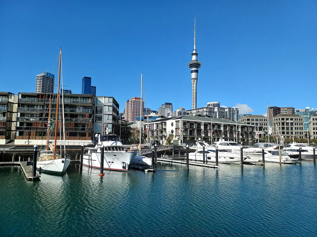 ท่าเรือ Viaduct Harbour กลางโอ๊คแลนด์ มองเห็น Sky Tower ด้านหลัง ภาพจาก Wikimedia Commons ผู้ถ่าย Radosław Botev สัญญา CC BY 3.0 pl