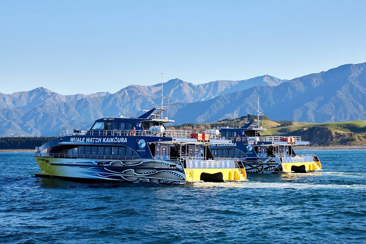 เรือของ Whale Watch Kaikōura ลอยลำหน้าเทือกเขา Seaward Kaikōura ภาพจาก Wikimedia Commons ผู้ถ่าย Destination Kaikōura สัญญา CC BY 4.0