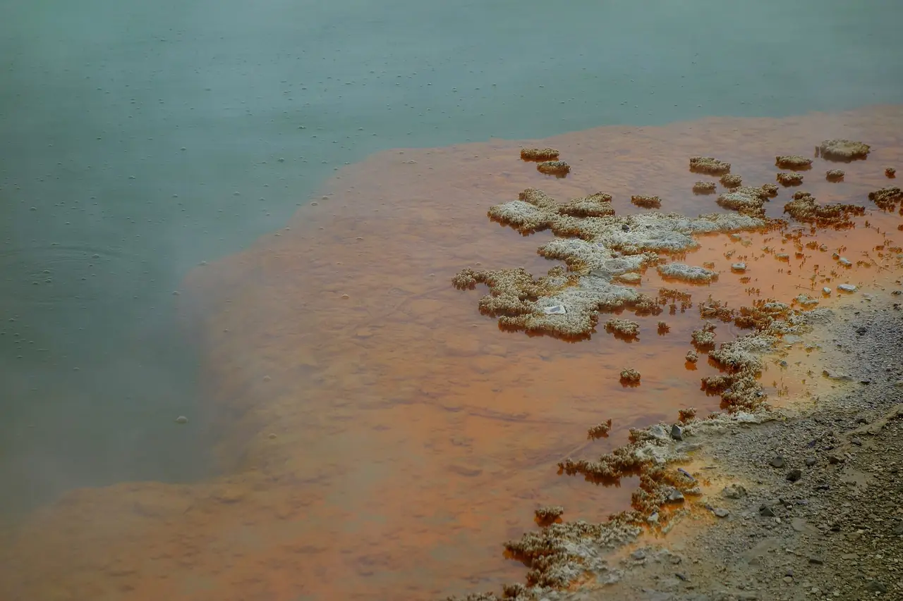 ขอบสระ Champagne Pool ที่ Wai-O-Tapu น้ำสีเขียวอมเทากับคราบแร่สีส้ม ภาพจาก Wikimedia Commons ผู้ถ่าย Daderot สัญญา CC0