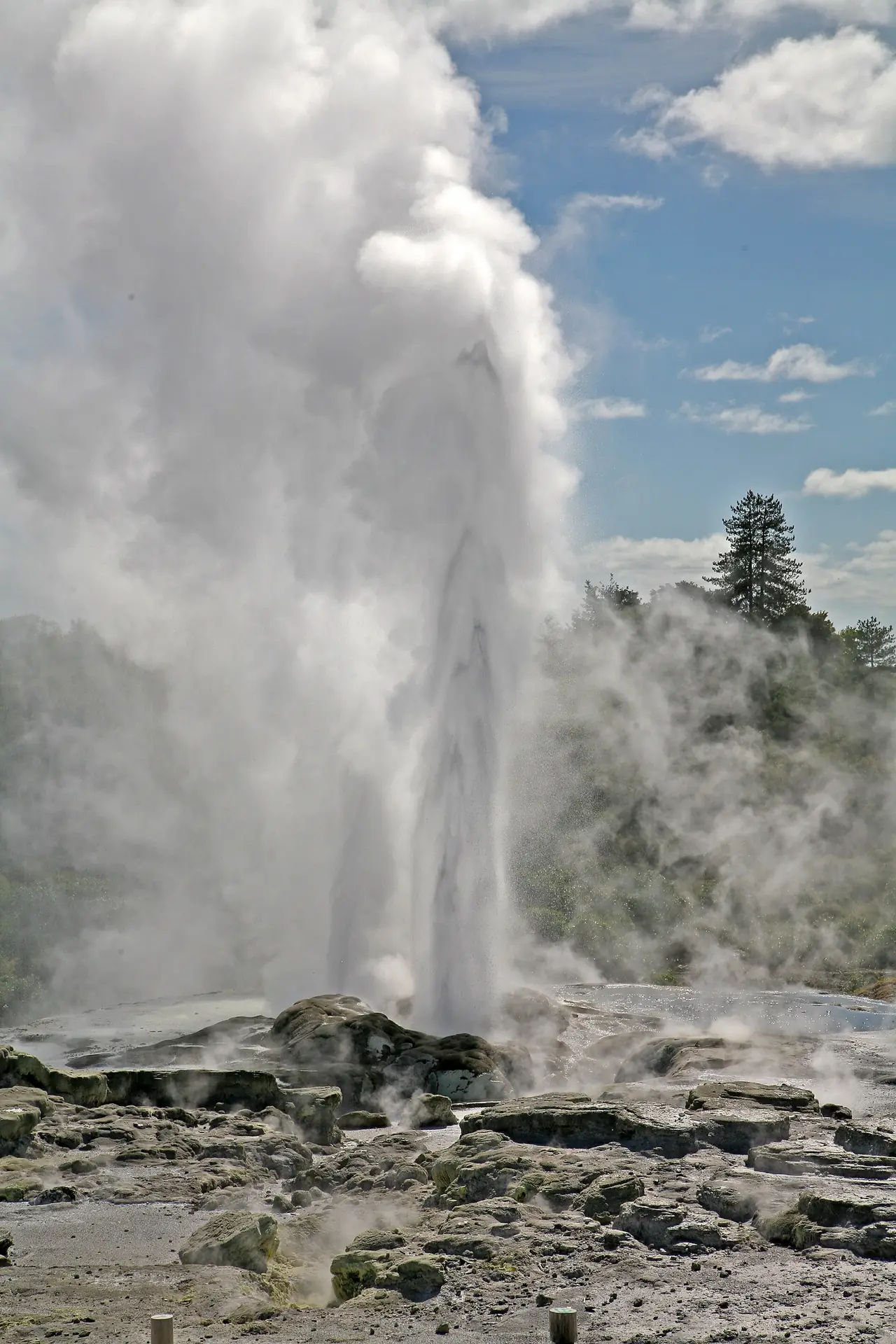 ภาพประกอบ นิวซีแลนด์: เที่ยวโรโตรัว 2569: Te Puia Wai-O-Tapu ราคา วิธีไป