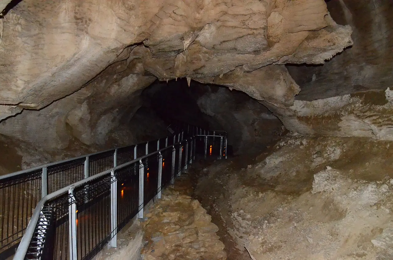 ทางเดินราวเหล็กในถ้ำ Ruakuri ตามชื่อไฟล์ใน Commons ภาพจาก Wikimedia Commons ผู้ถ่าย Joe Ross สัญญา CC BY-SA 2.0 ไม่ระบุปีที่ถ่าย