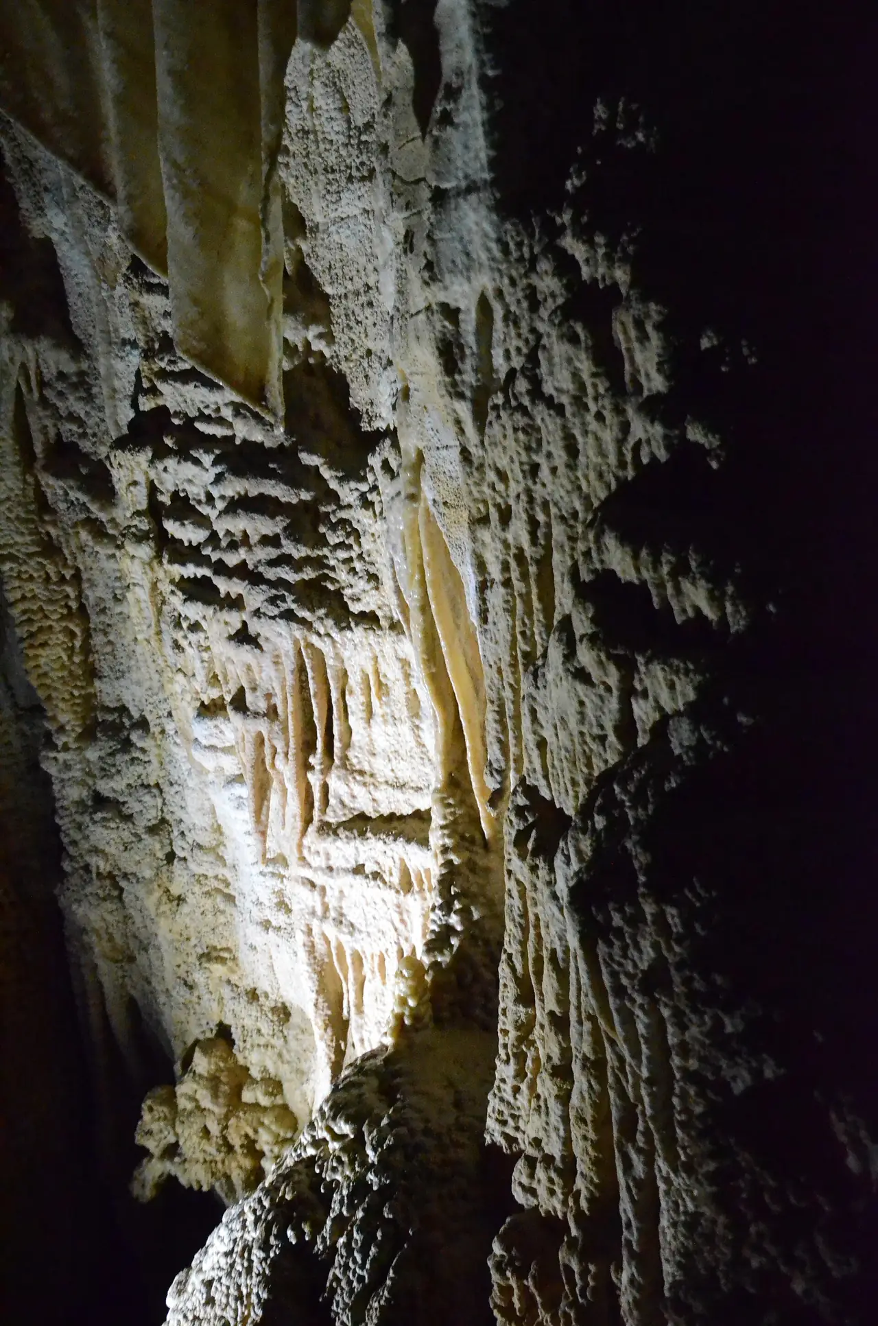 หินย้อยในถ้ำ Ruakuri ภาพจาก Wikimedia Commons ผู้ถ่าย Joe Ross สัญญา CC BY-SA 2.0 ไม่ระบุปีที่ถ่าย
