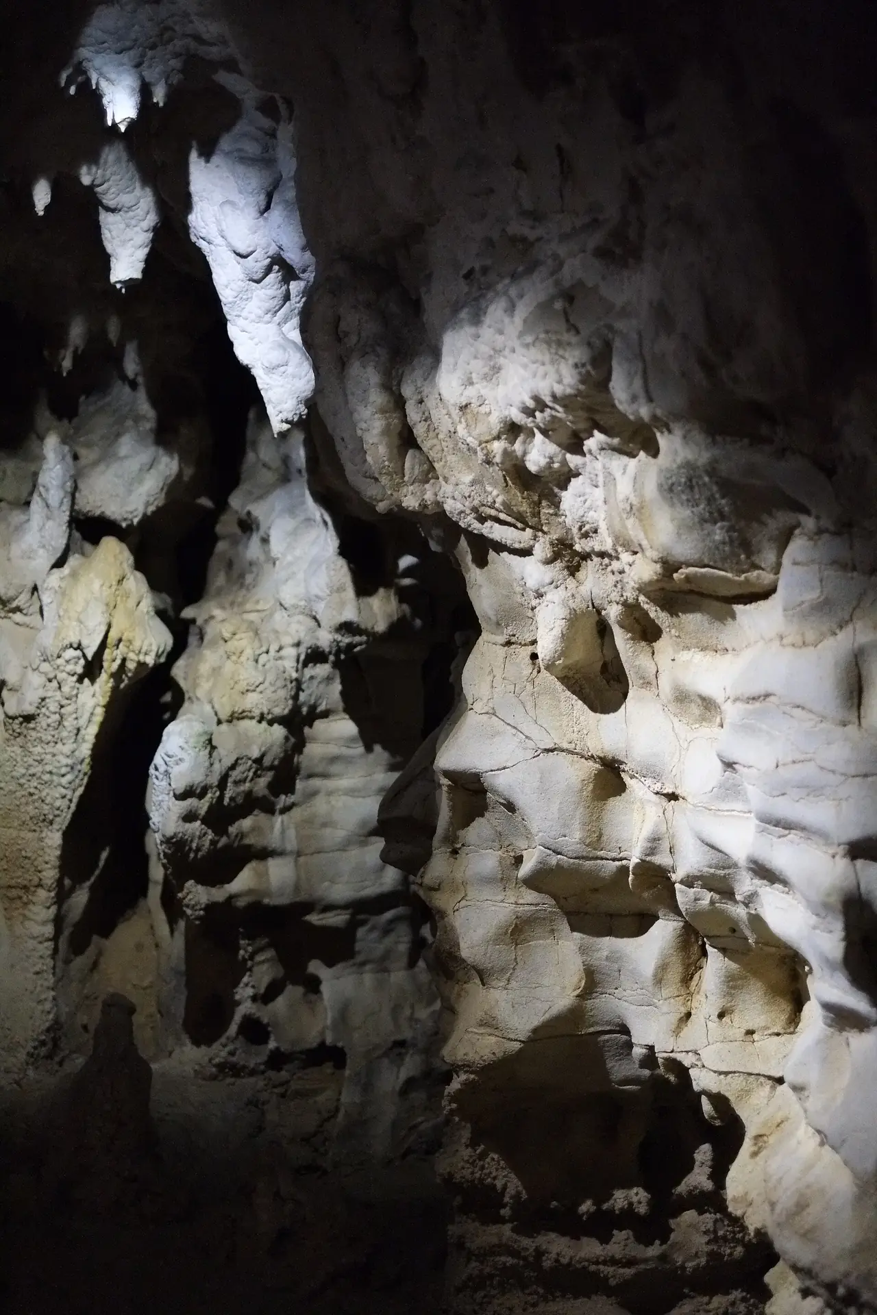 ผนังหินปูนและหินย้อยในถ้ำ Waitomo Glowworm Cave ภาพจาก Wikimedia Commons ผู้ถ่าย Pseudopanax สถานะ Public domain ไม่ระบุปี