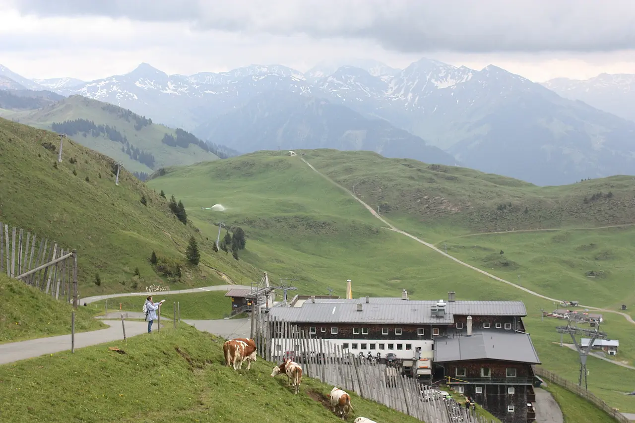 ทุ่งหญ้าและอาคาร Alpenhaus บนเส้นทาง Kitzbüheler Horn ภาพจาก Wikimedia Commons ผู้ถ่าย Dguendel สัญญา CC BY 4.0 เป็นภาพฤดูร้อน ปีถ่ายไม่ระบุในที่เราตรวจ