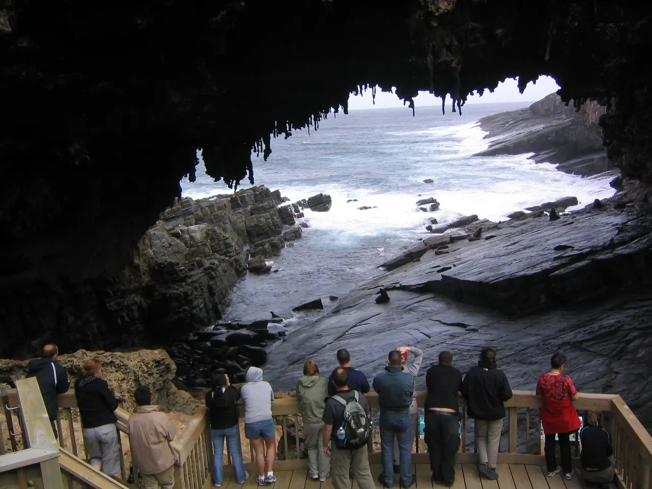 ทางเดินชมแมวน้ำใต้ซุ้มหิน Admirals Arch ที่ Cape du Couedic เกาะ Kangaroo Island มีนักท่องเที่ยวยืนอยู่บนทางเดินไม้ ภาพจาก Wikimedia Commons ผู้ถ่าย Phil Whitehouse สัญญา CC BY 2.0